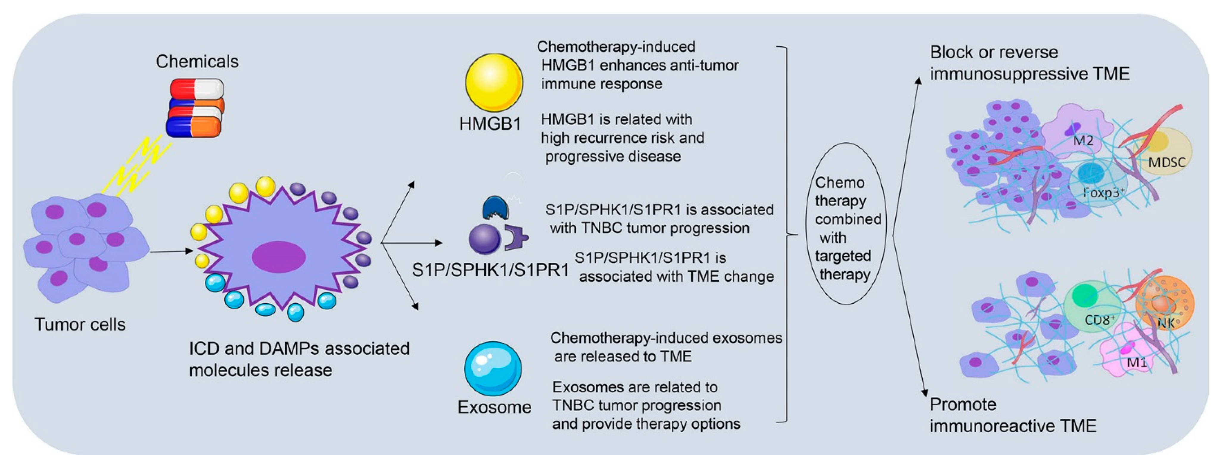 Cancers 13 03357 g002