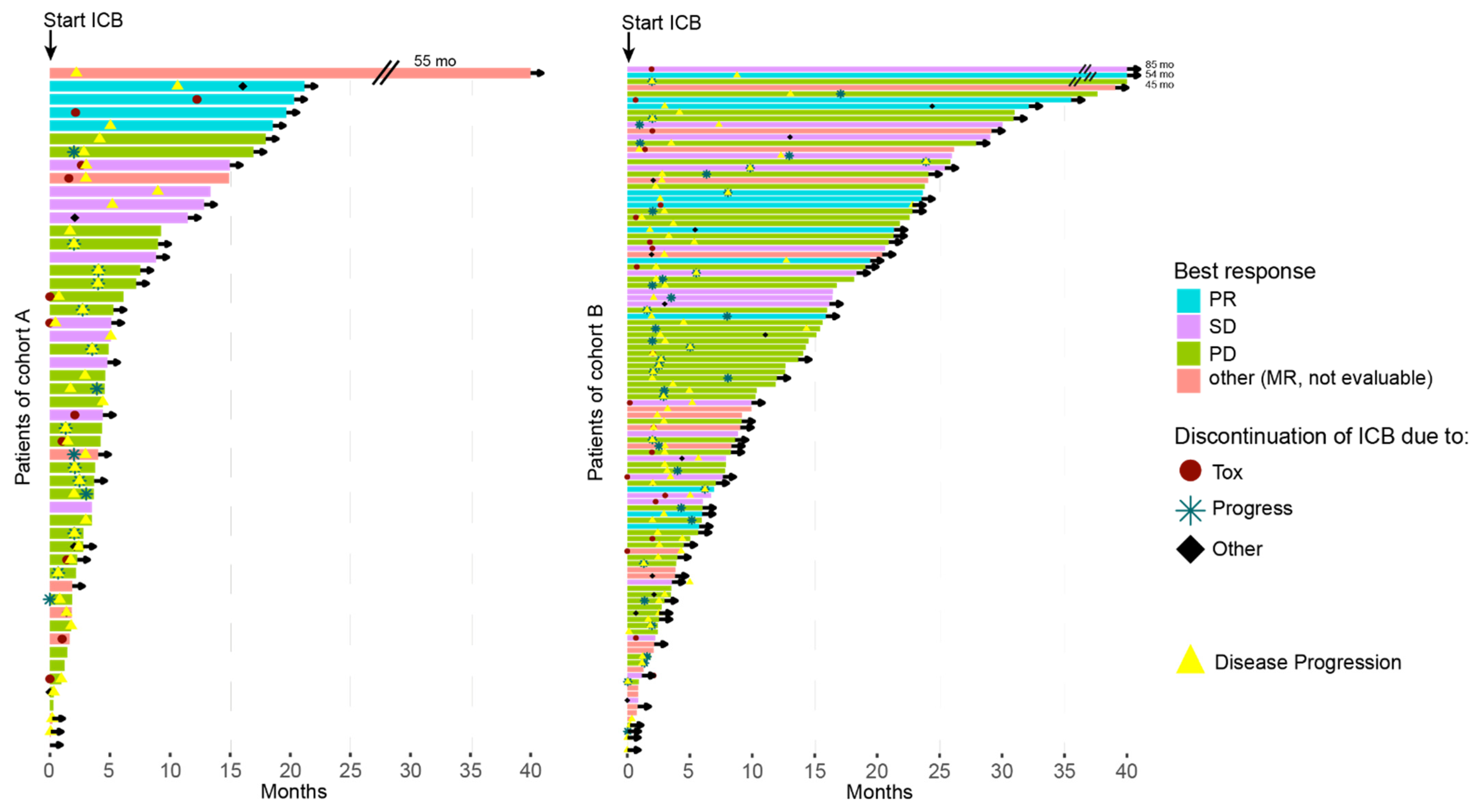 Cancers 13 03359 g002