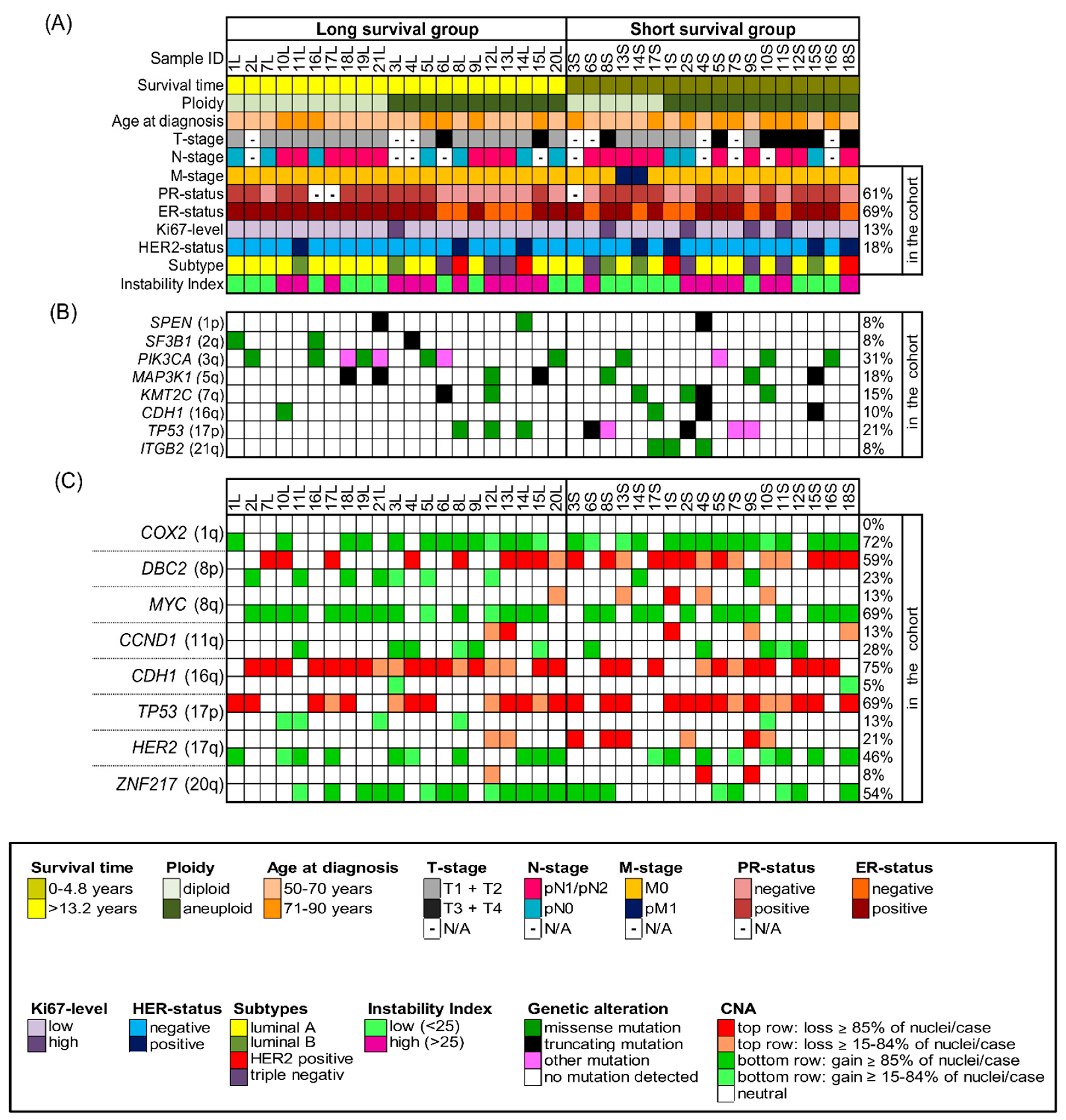 Cancers 13 03366 g001