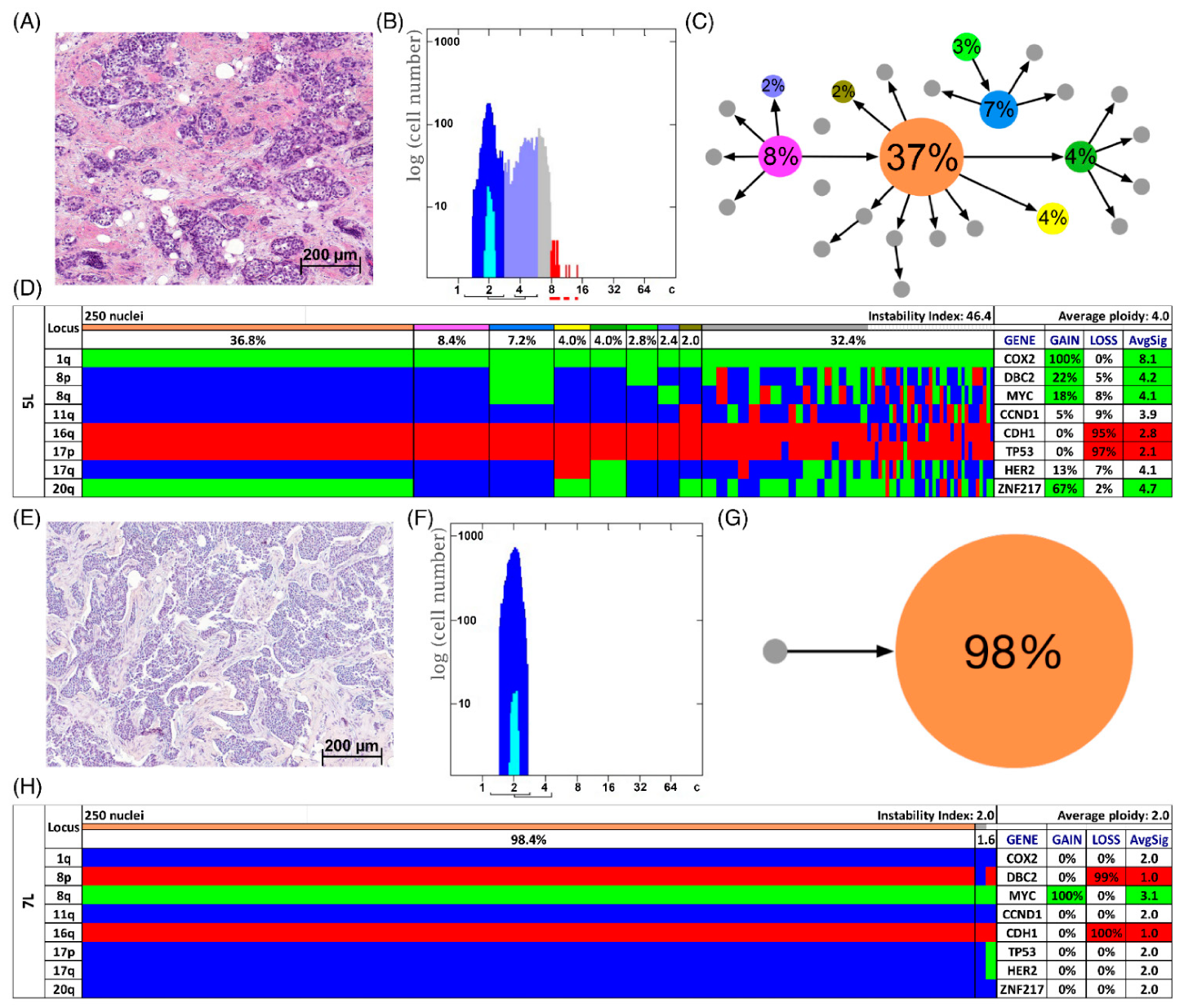 Cancers 13 03366 g003