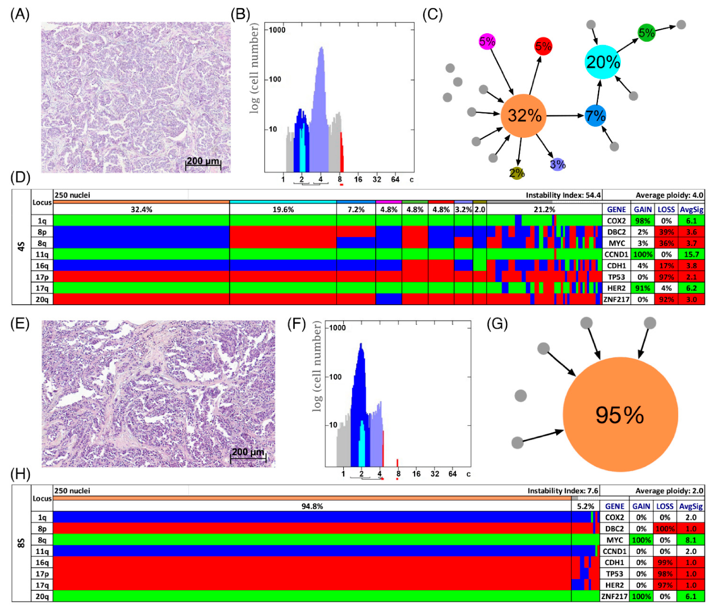 Cancers 13 03366 g004