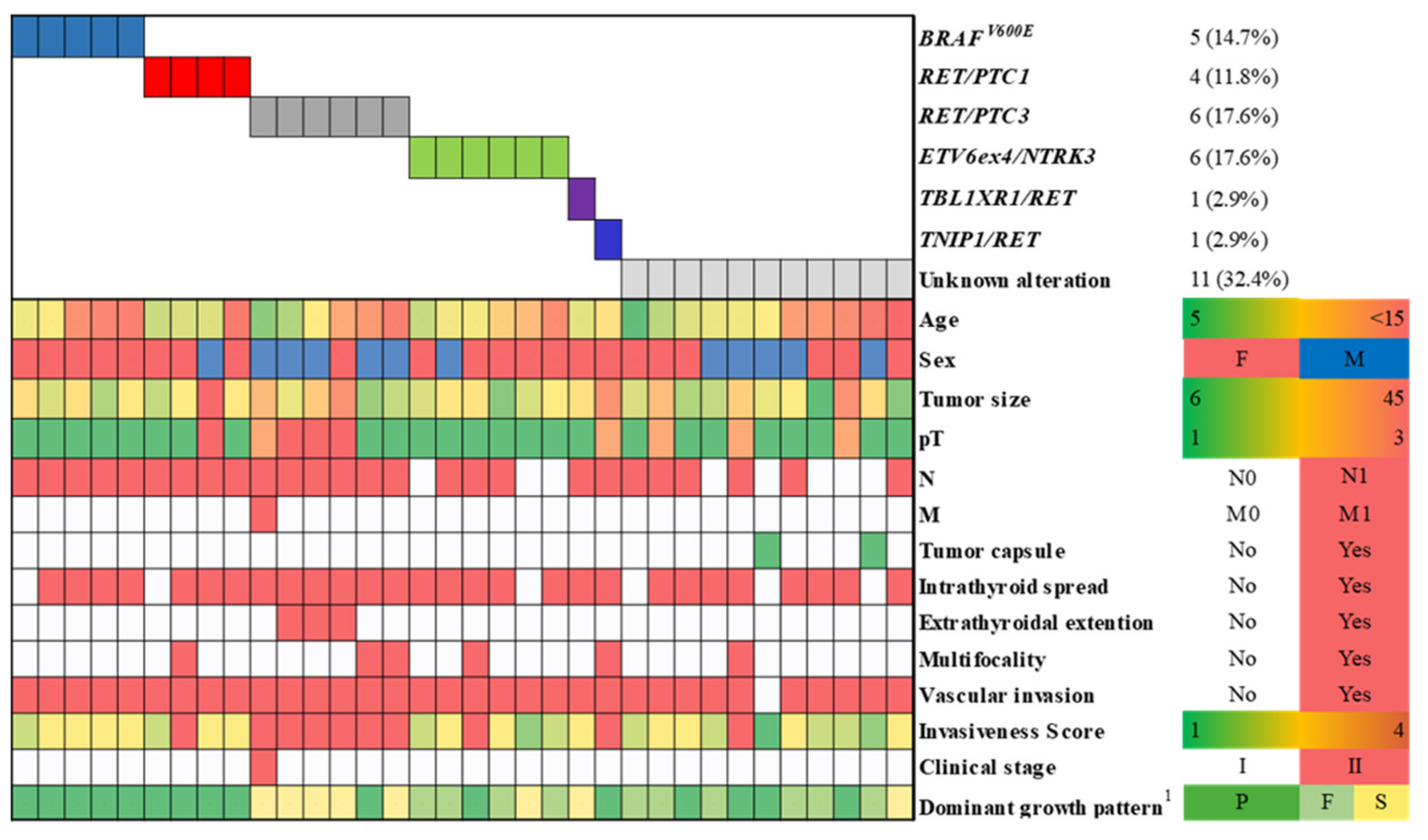 Cancers 13 03374 g002