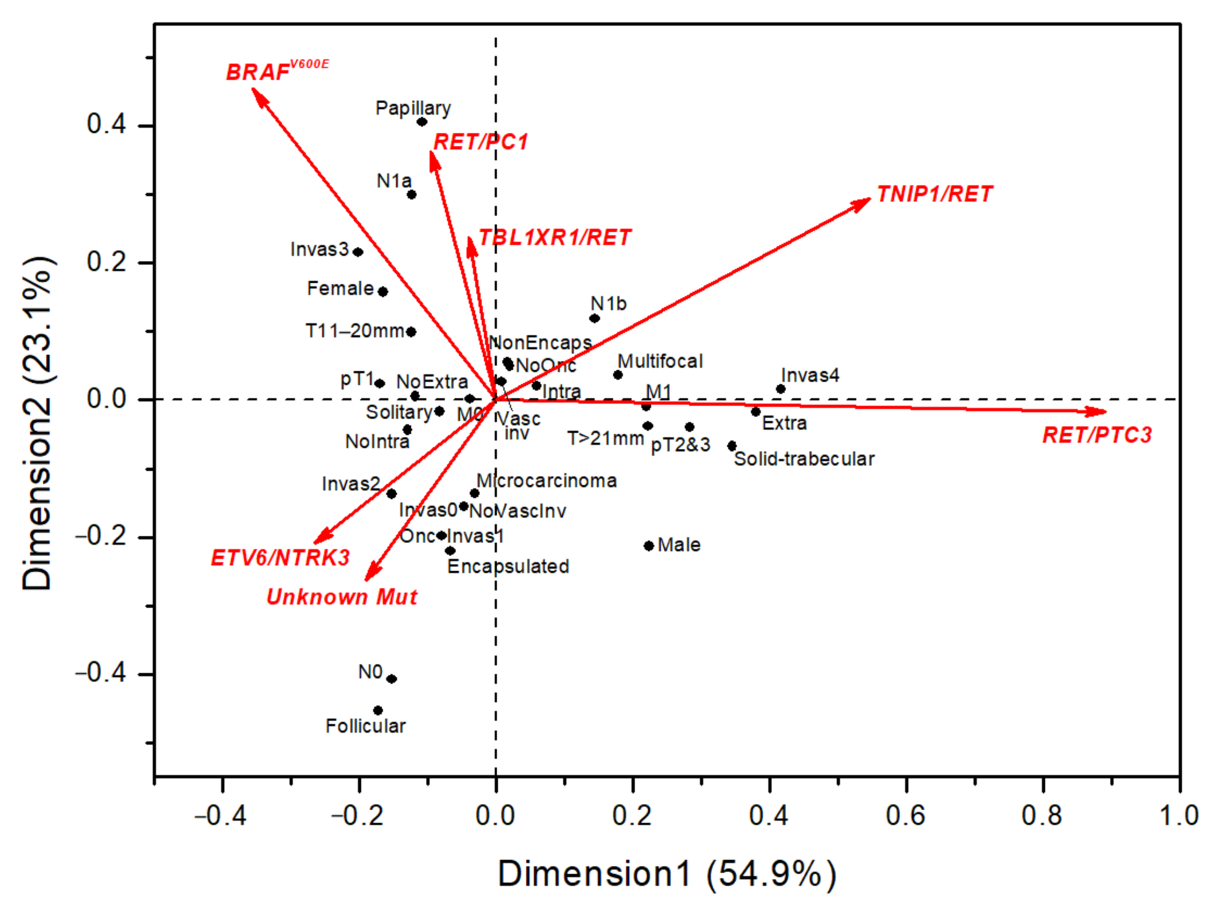 Cancers 13 03374 g003