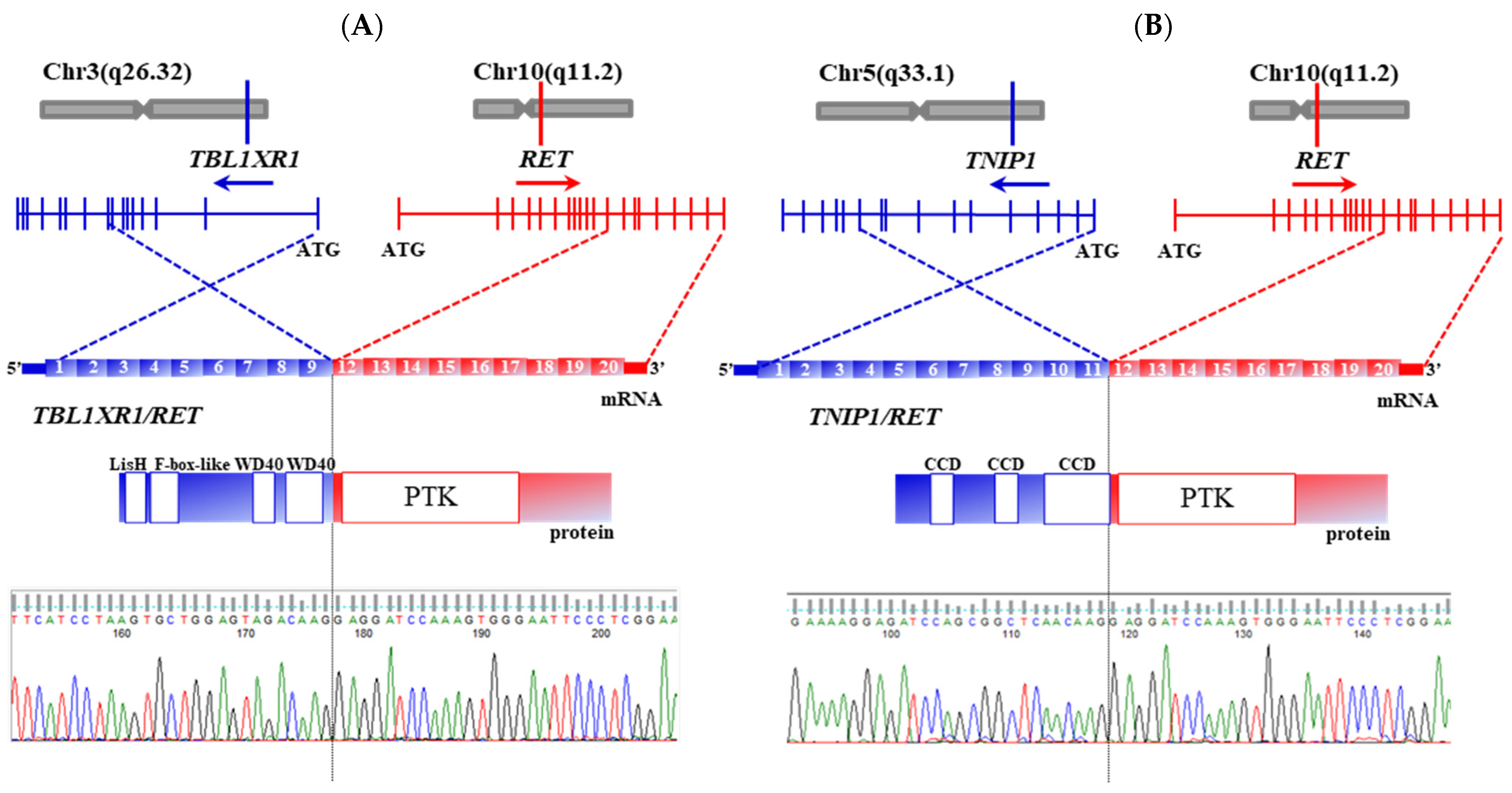 Cancers 13 03374 g004