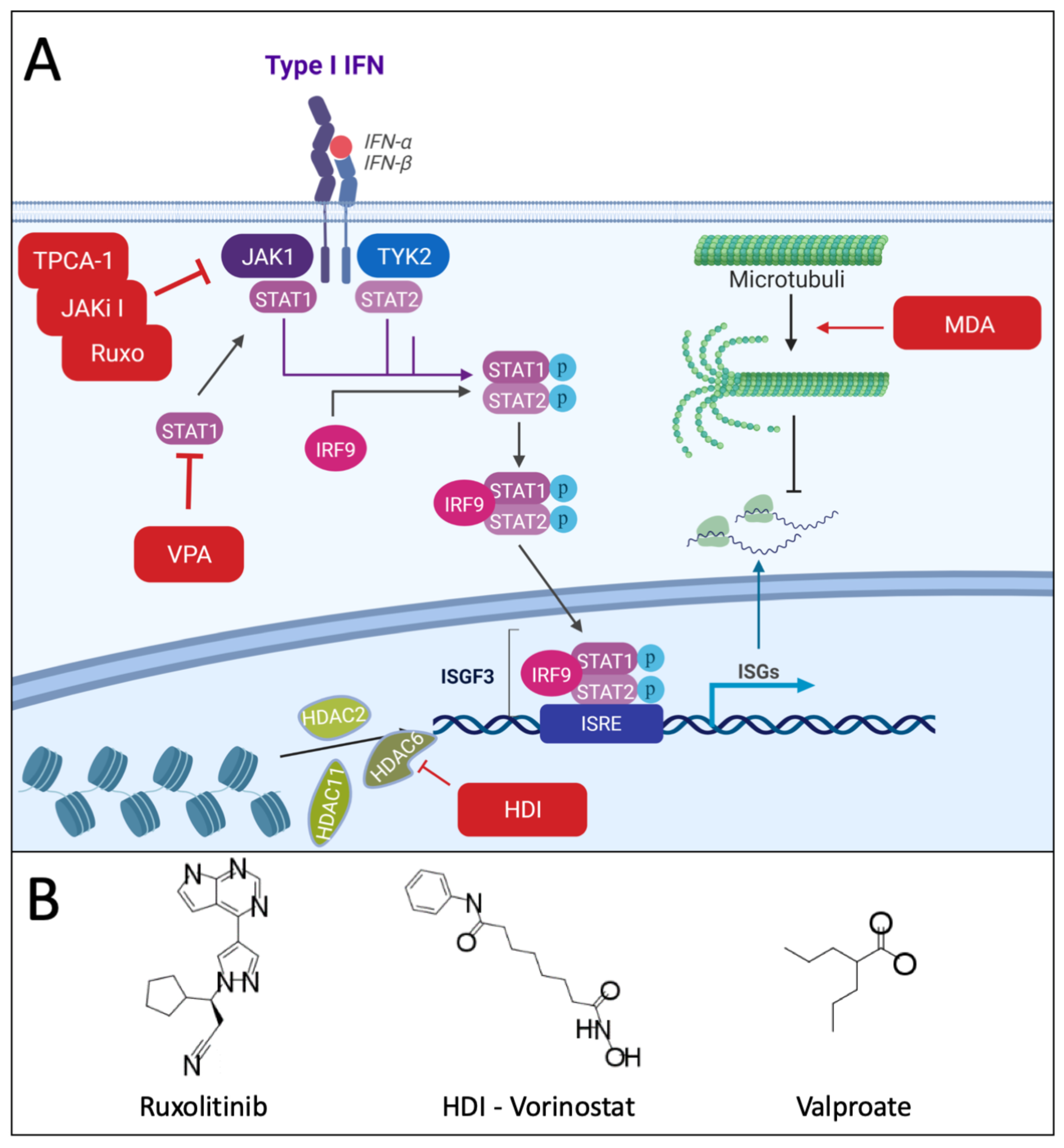 Cancers 13 03386 g001