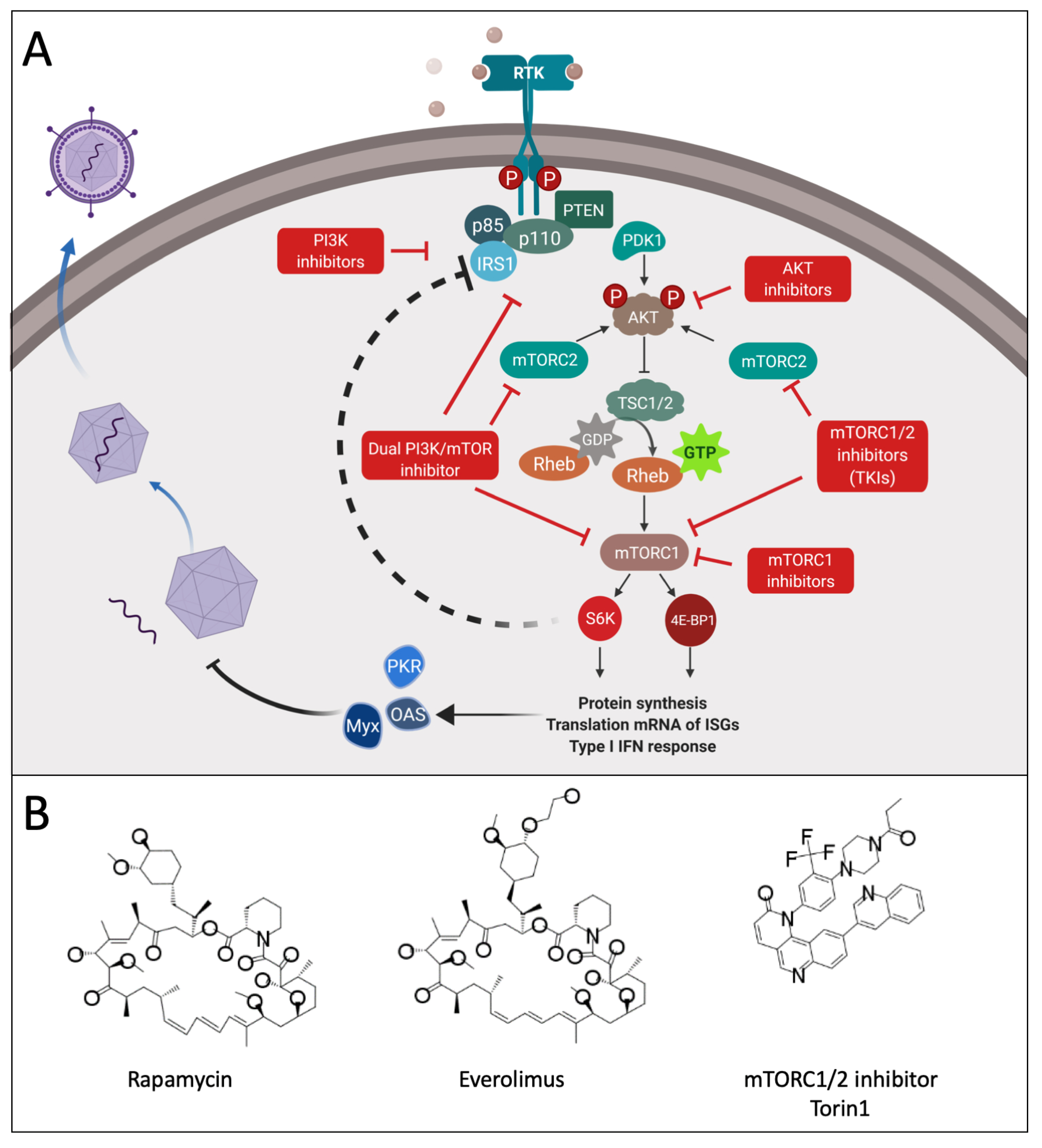 Cancers 13 03386 g003