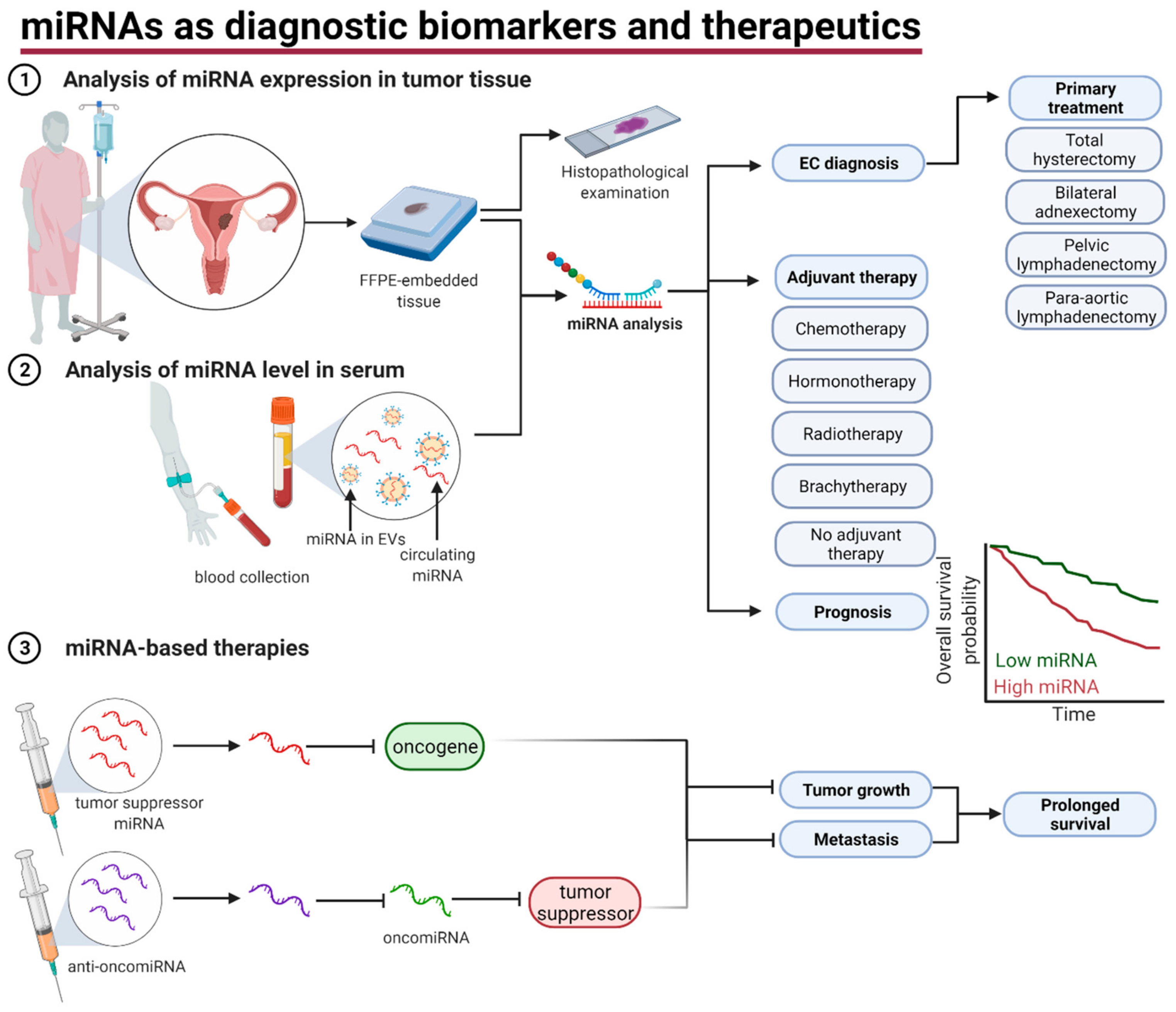 Cancers 13 03393 g005