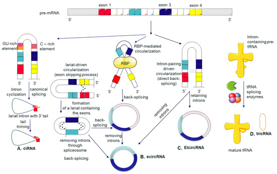 Cancers 13 03395 g001