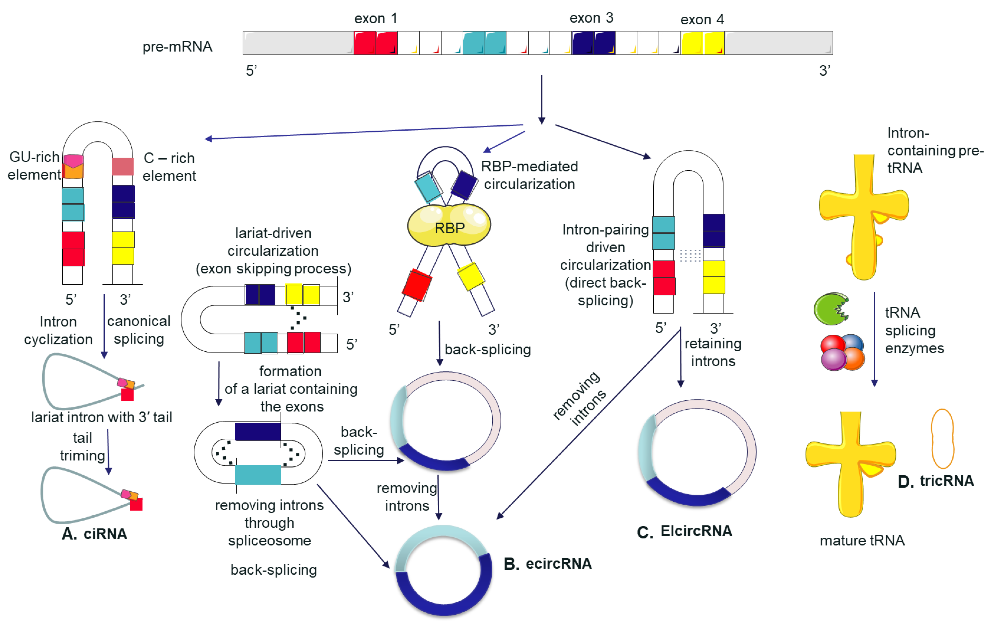 Cancers 13 03395 g001 Cancers 13 03395 g001