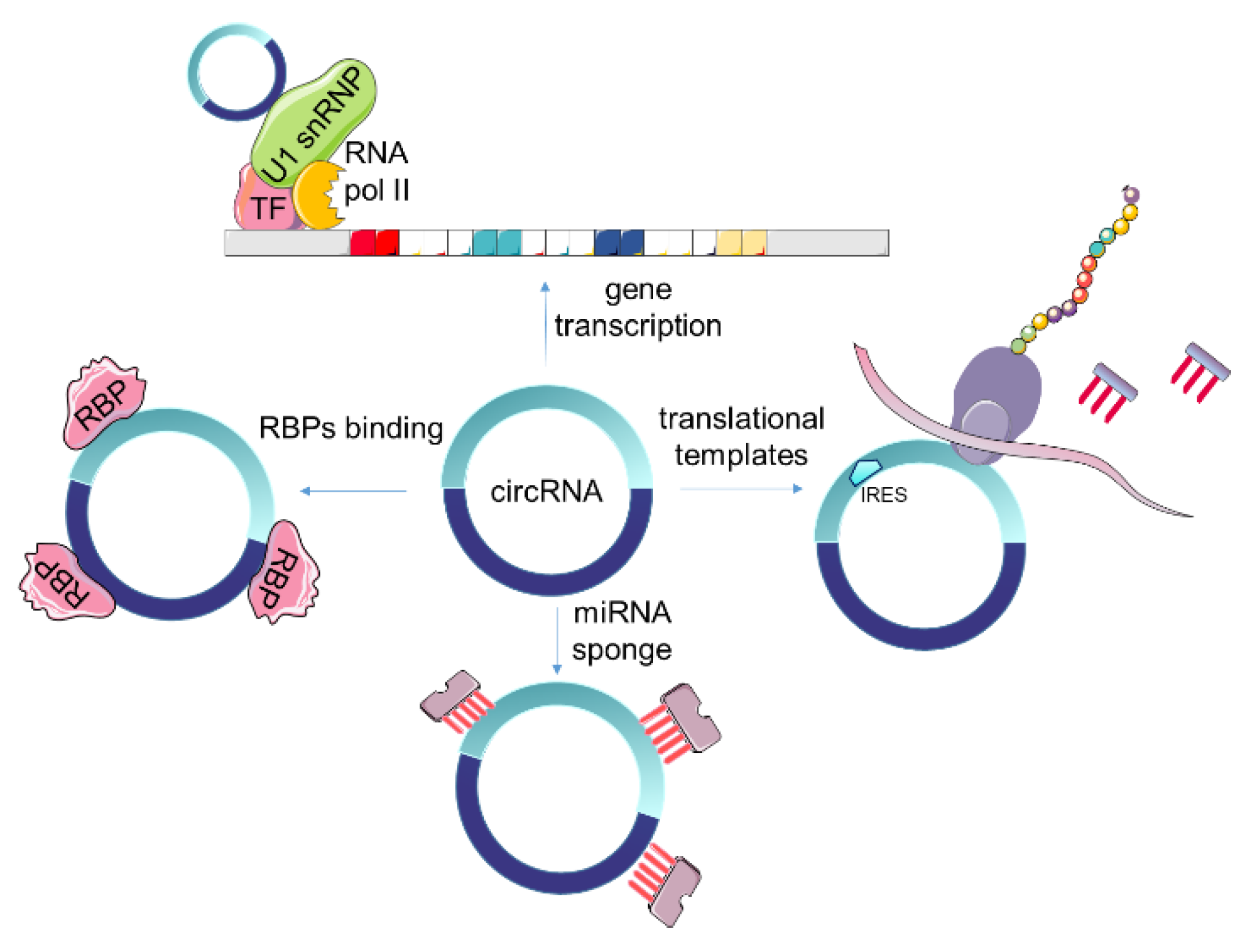 Cancers 13 03395 g002 Cancers 13 03395 g002