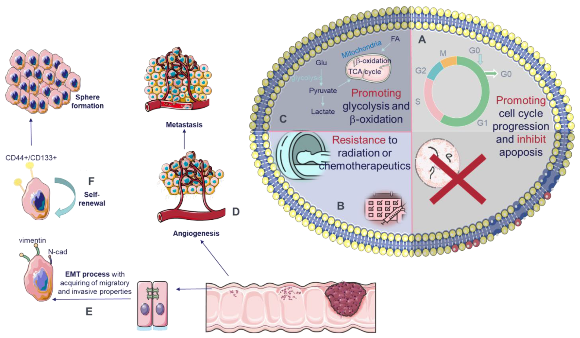 Cancers 13 03395 g003 Cancers 13 03395 g003