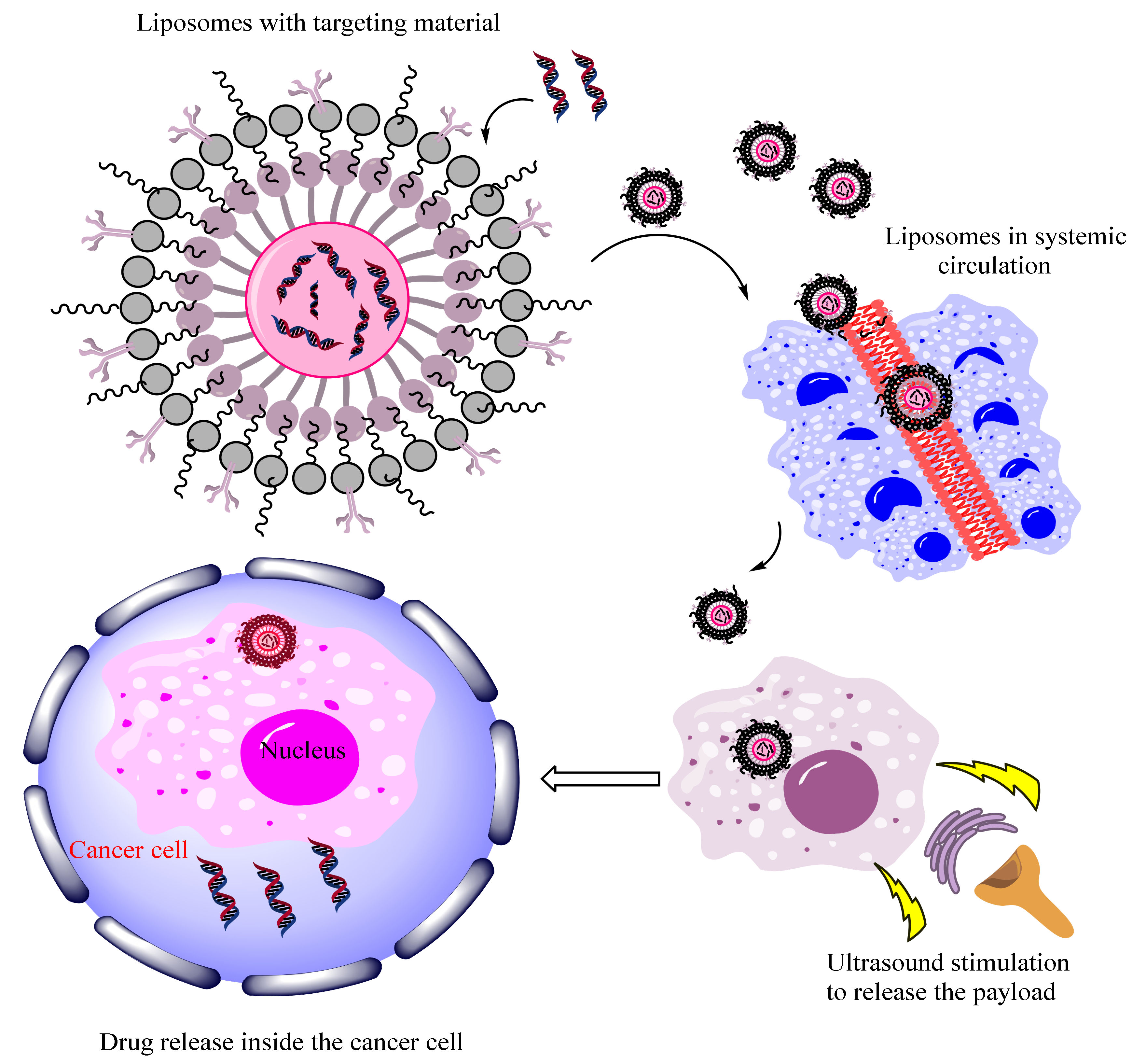 Cancers 13 03396 g003