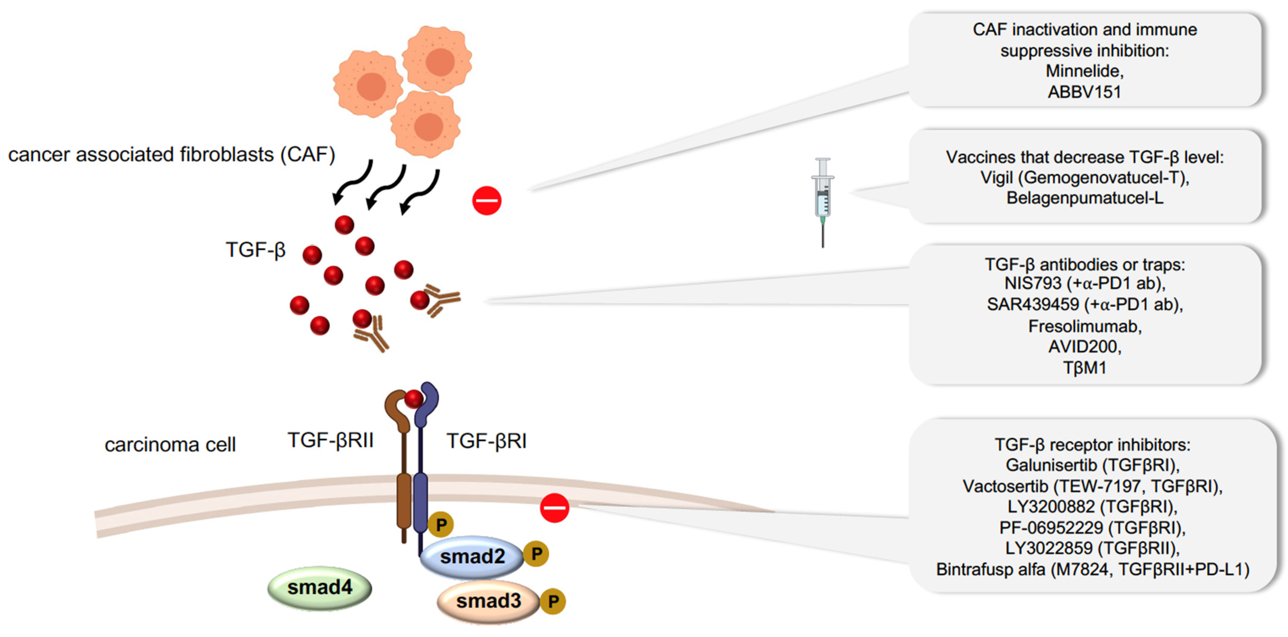 Cancers 13 03397 g002