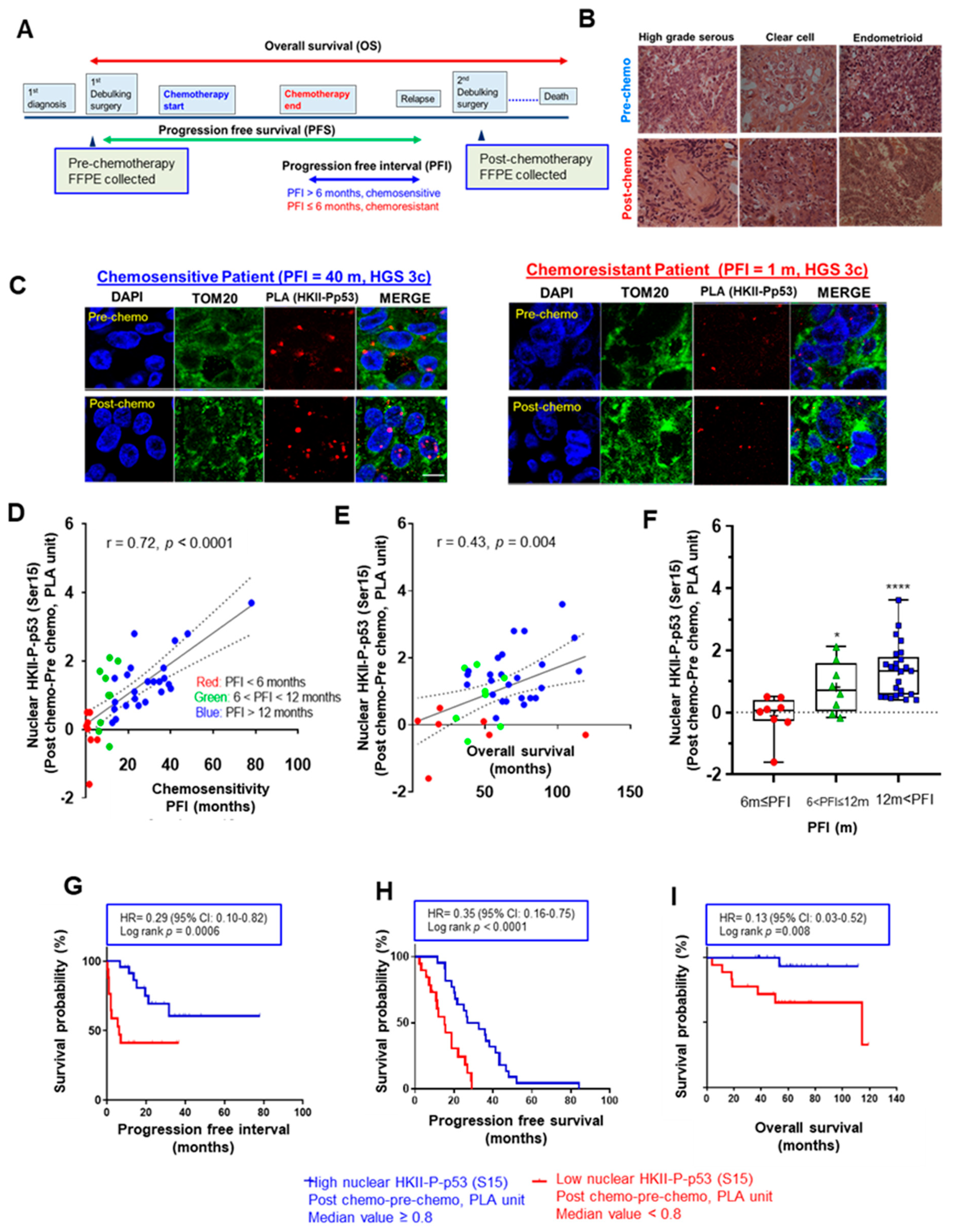 Cancers 13 03399 g001 Cancers 13 03399 g001