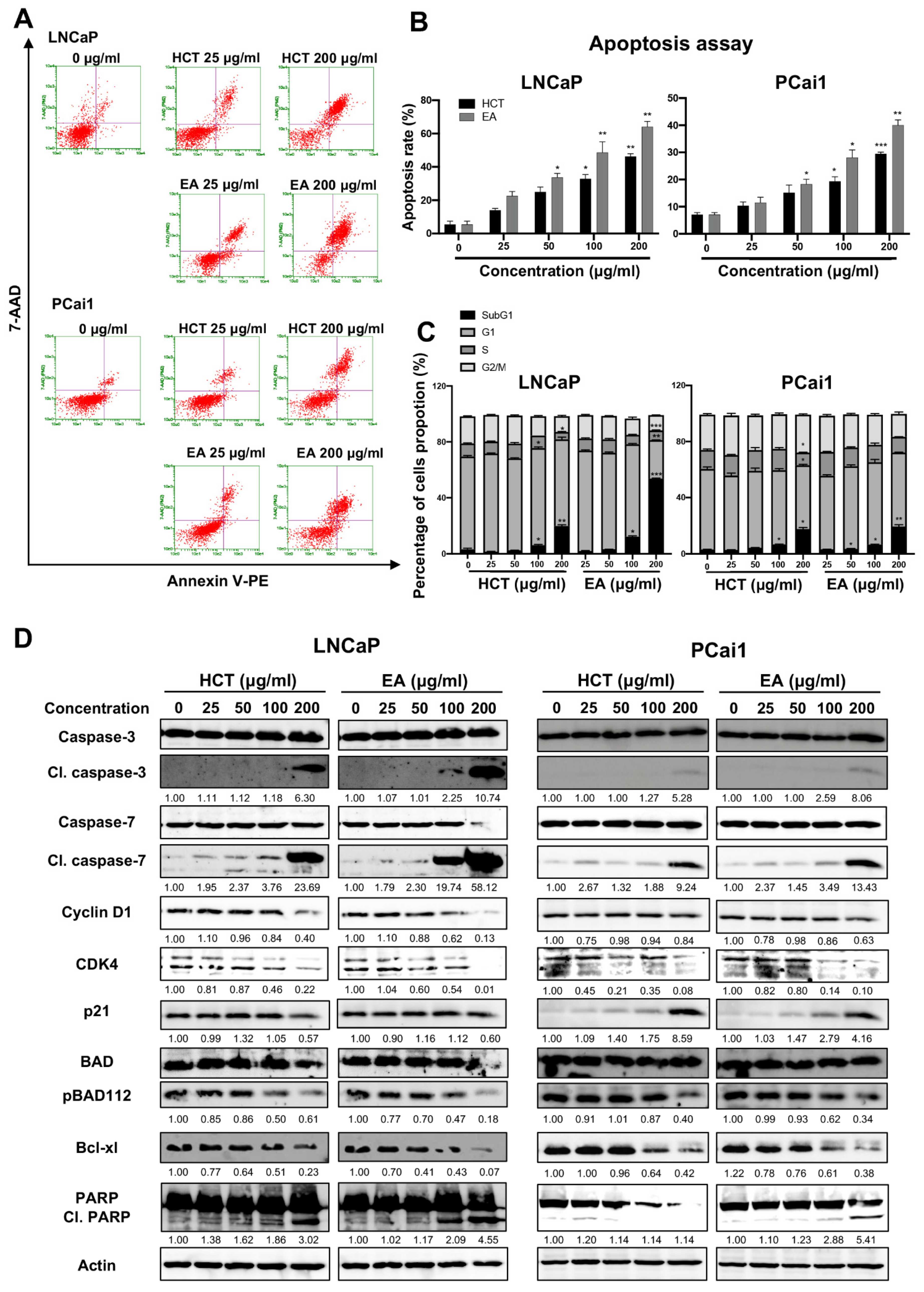 Cancers 13 03403 g003