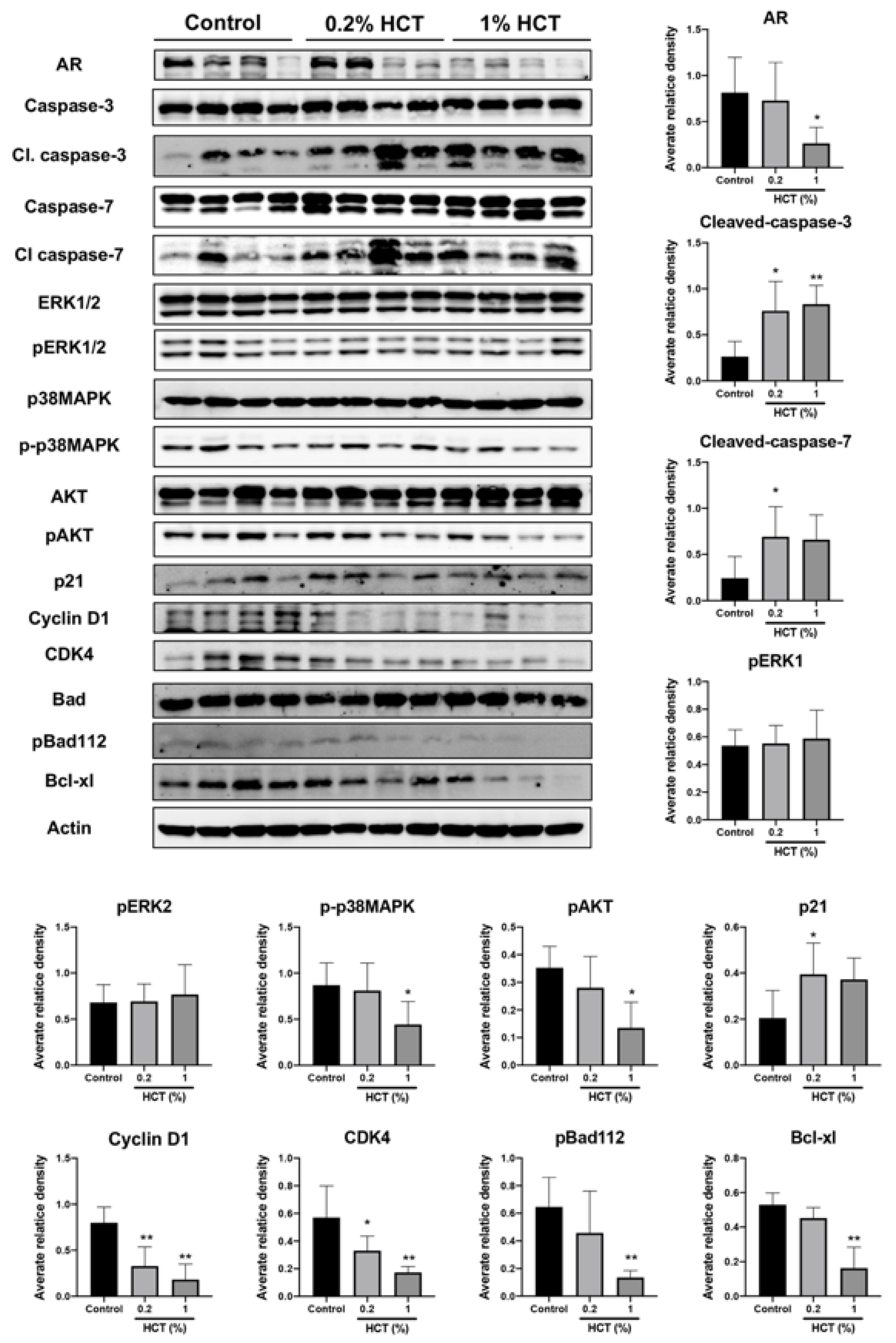 Cancers 13 03403 g008