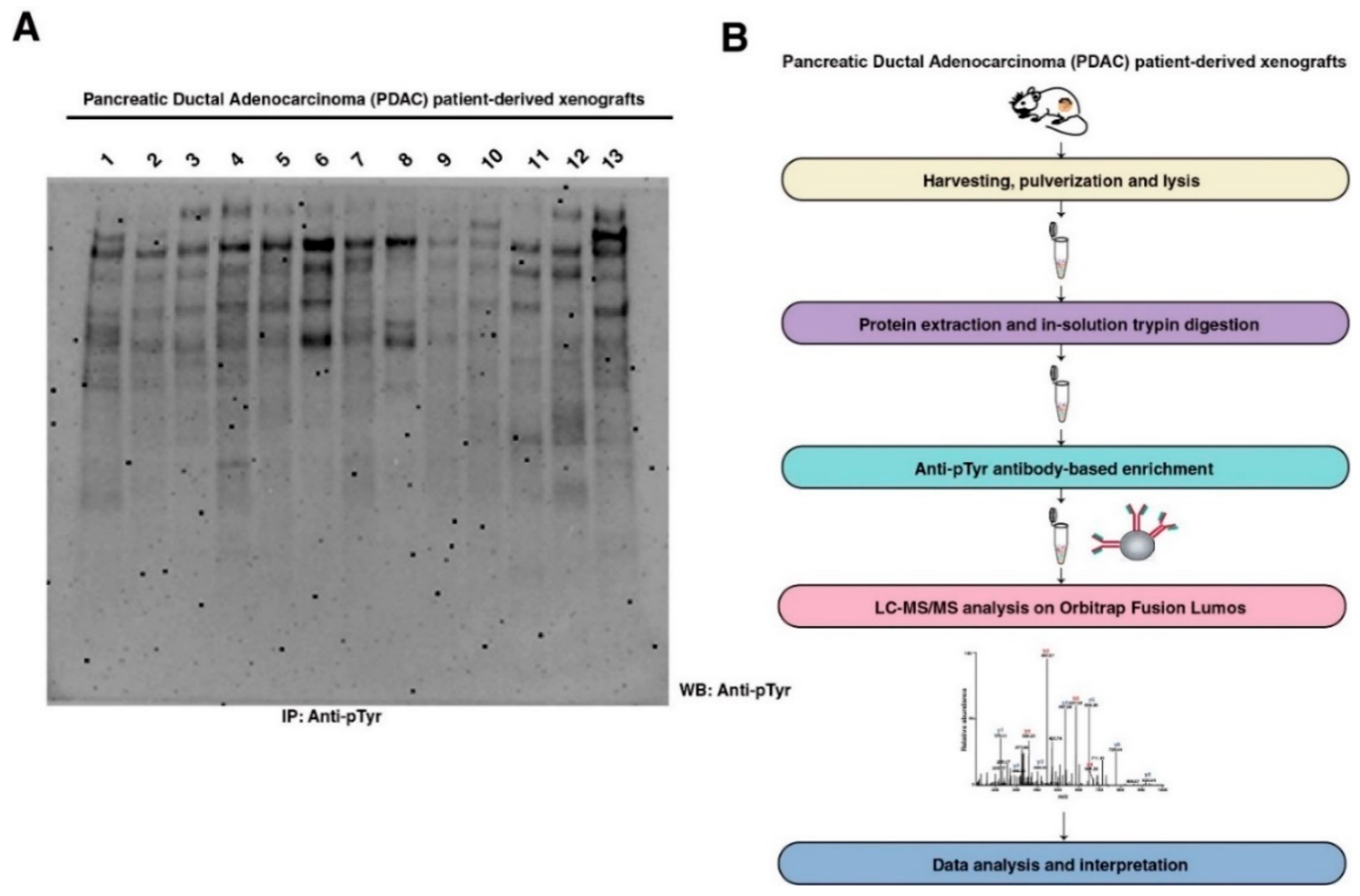 Cancers 13 03404 g001