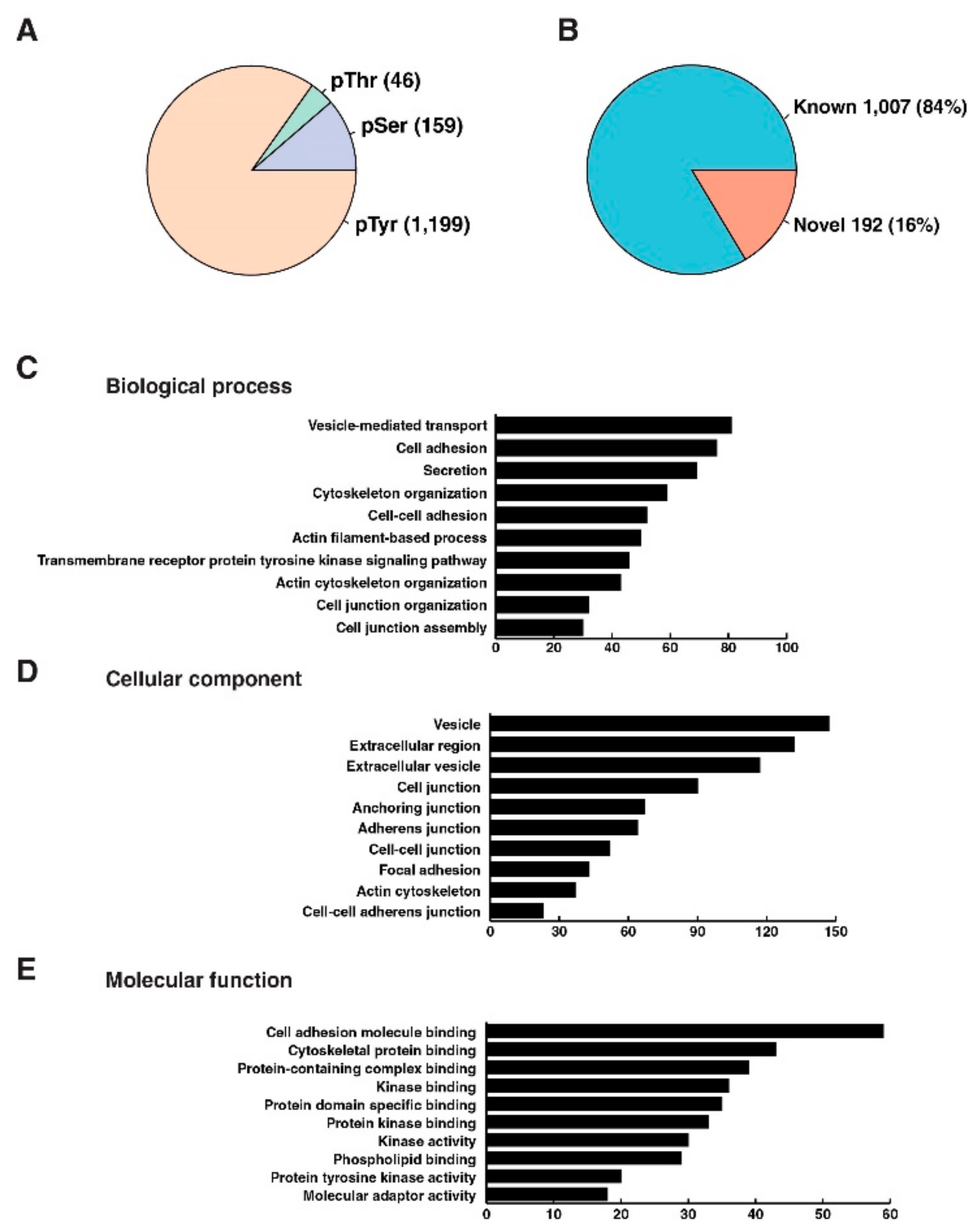 Cancers 13 03404 g002