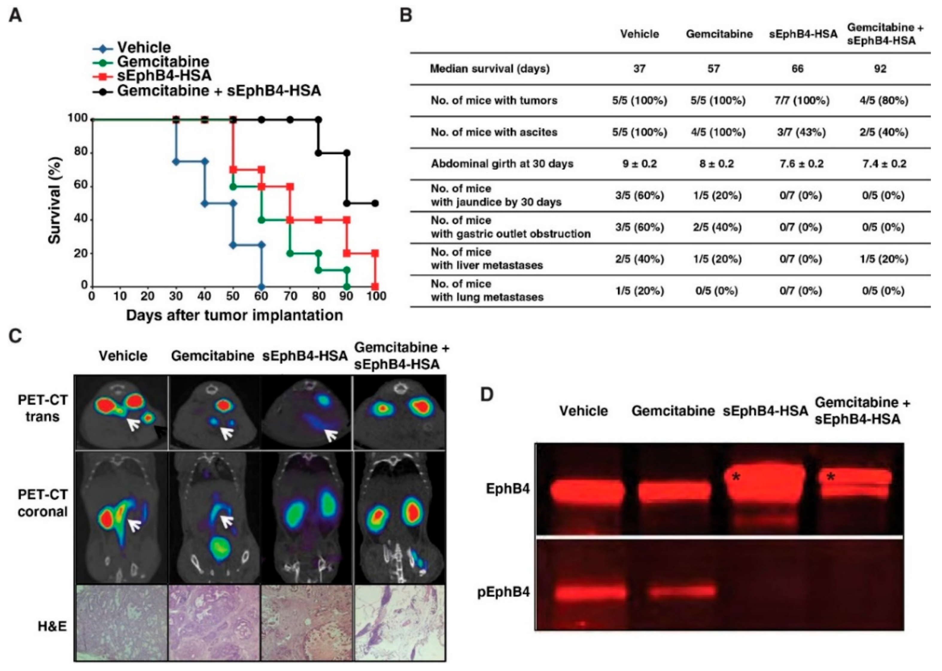 Cancers 13 03404 g006
