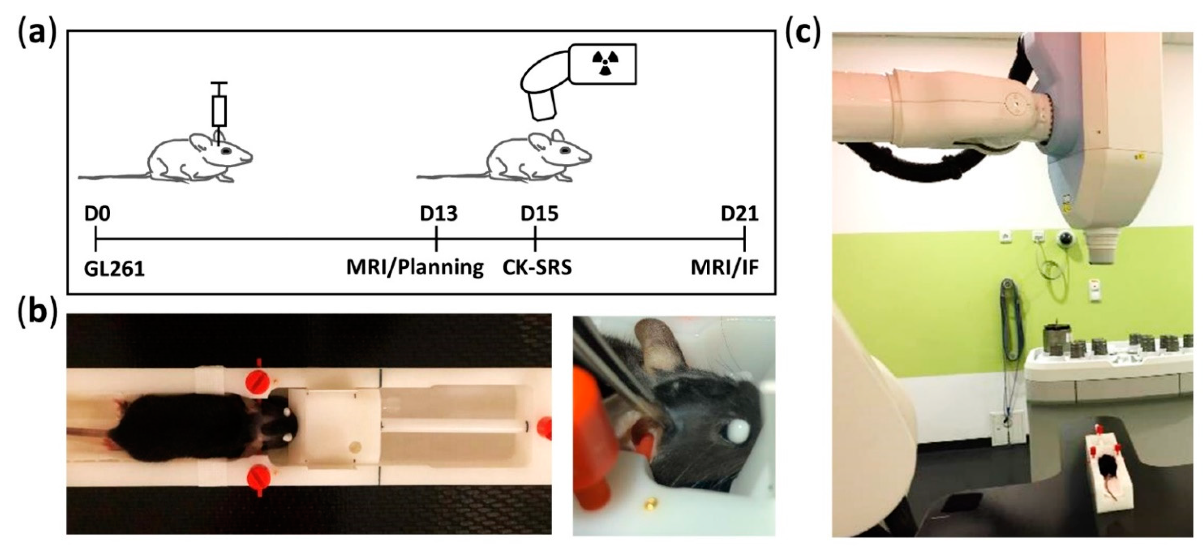Cancers 13 03416 g001 Cancers 13 03416 g001