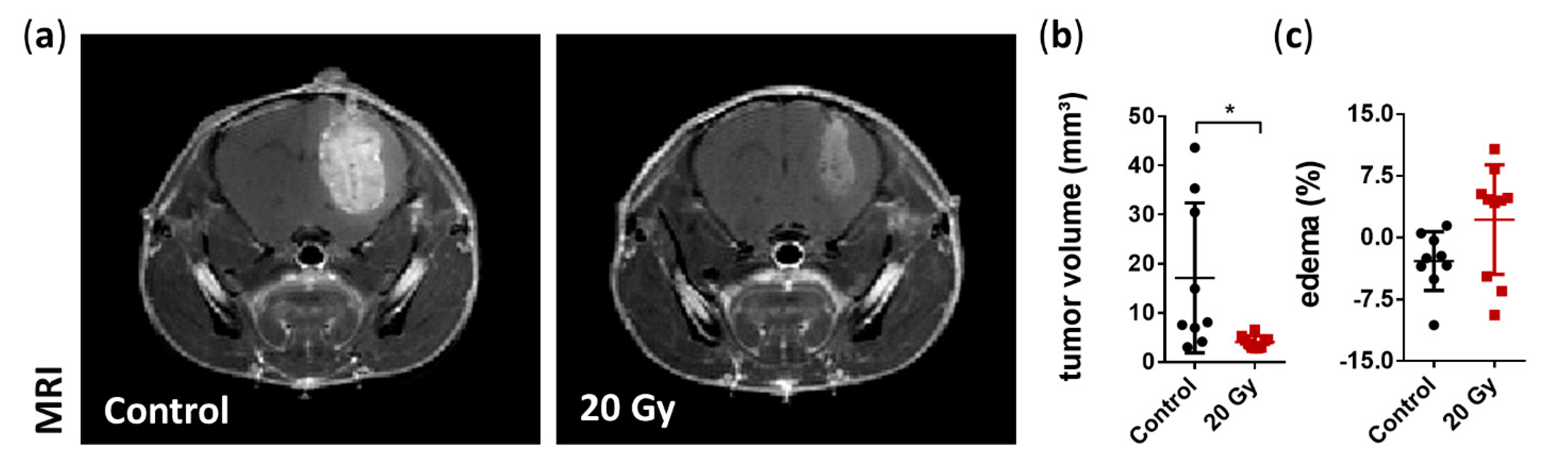 Cancers 13 03416 g003 Cancers 13 03416 g003