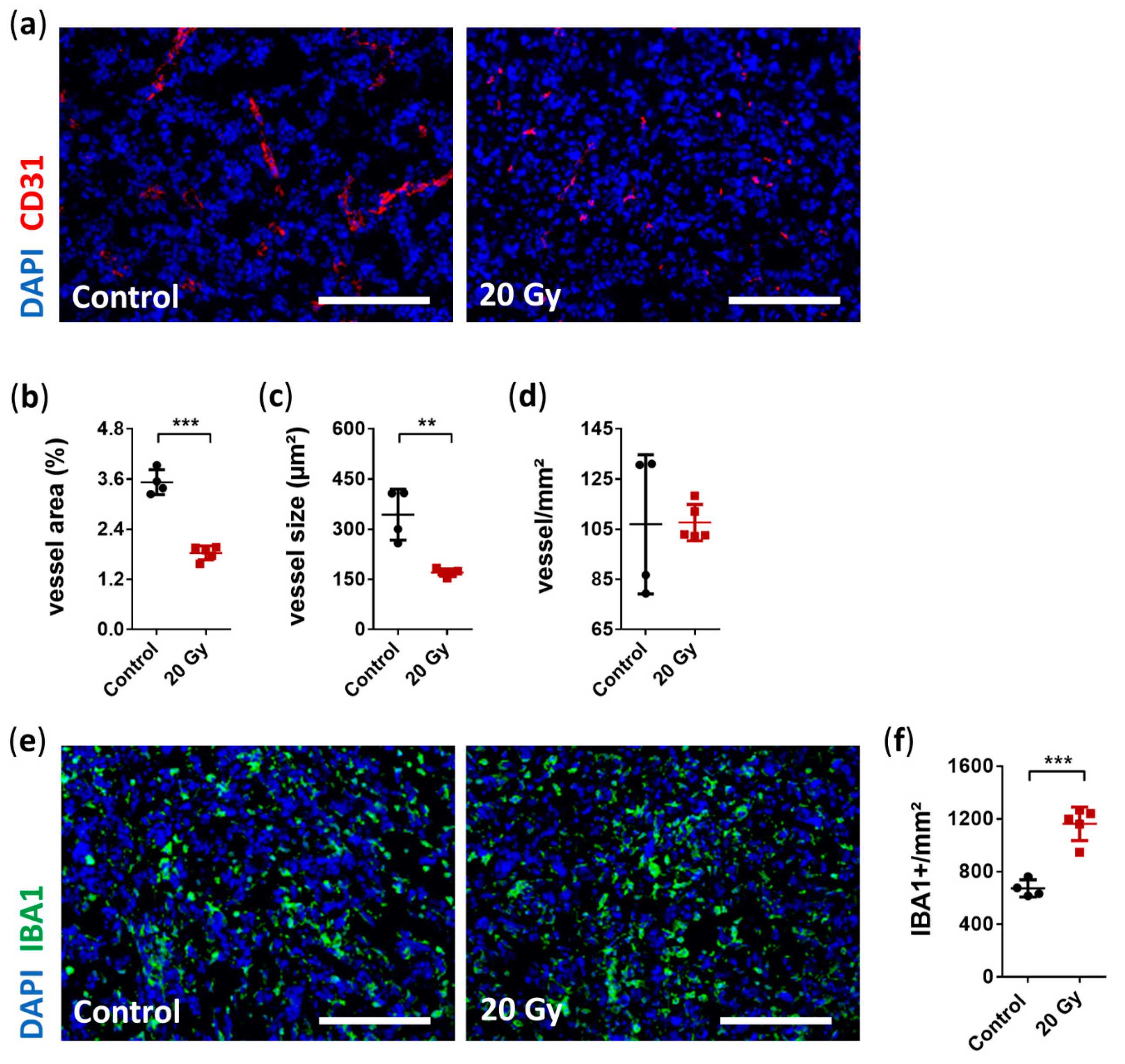 Cancers 13 03416 g005 Cancers 13 03416 g005
