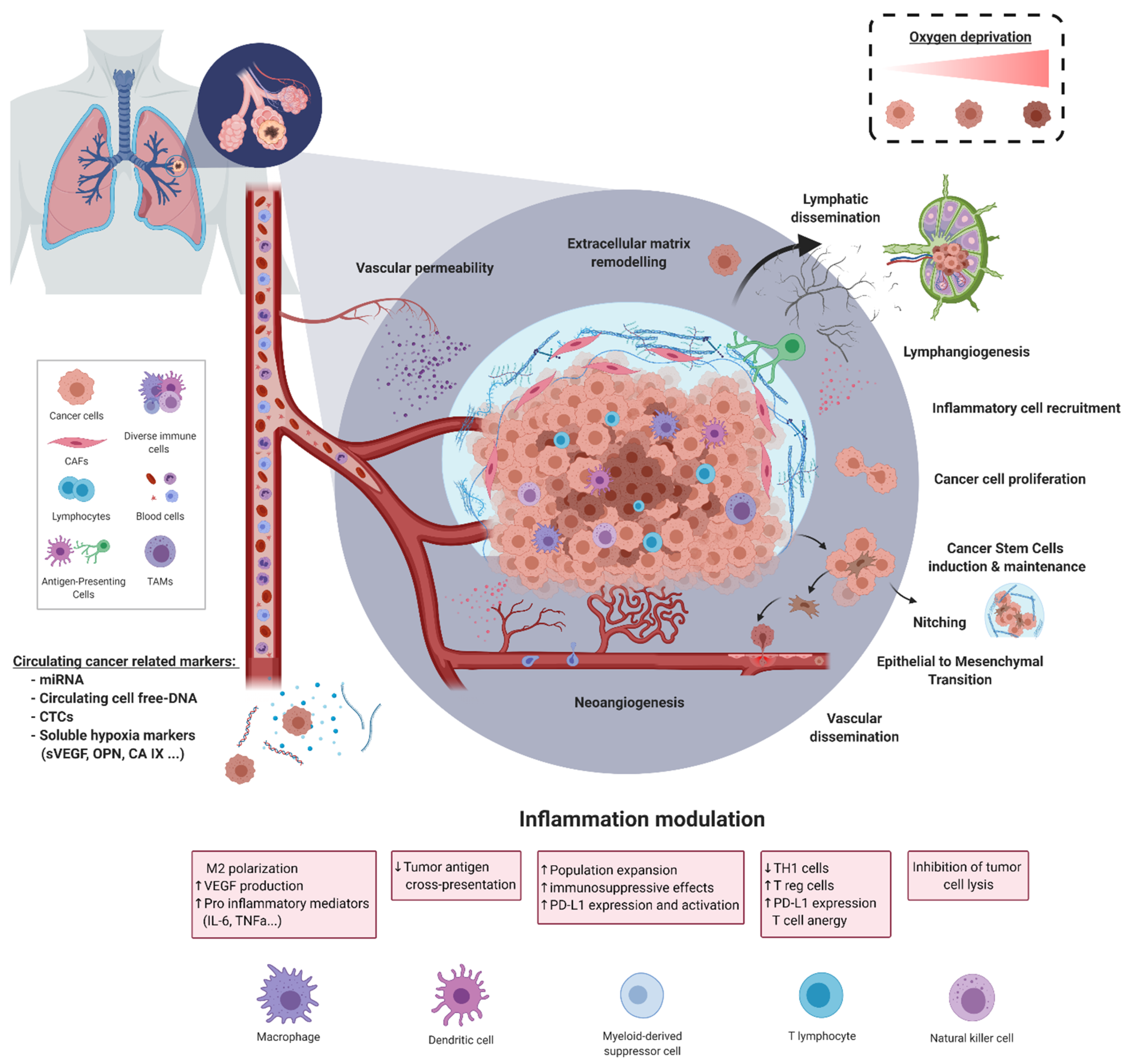 Cancers 13 03421 g001