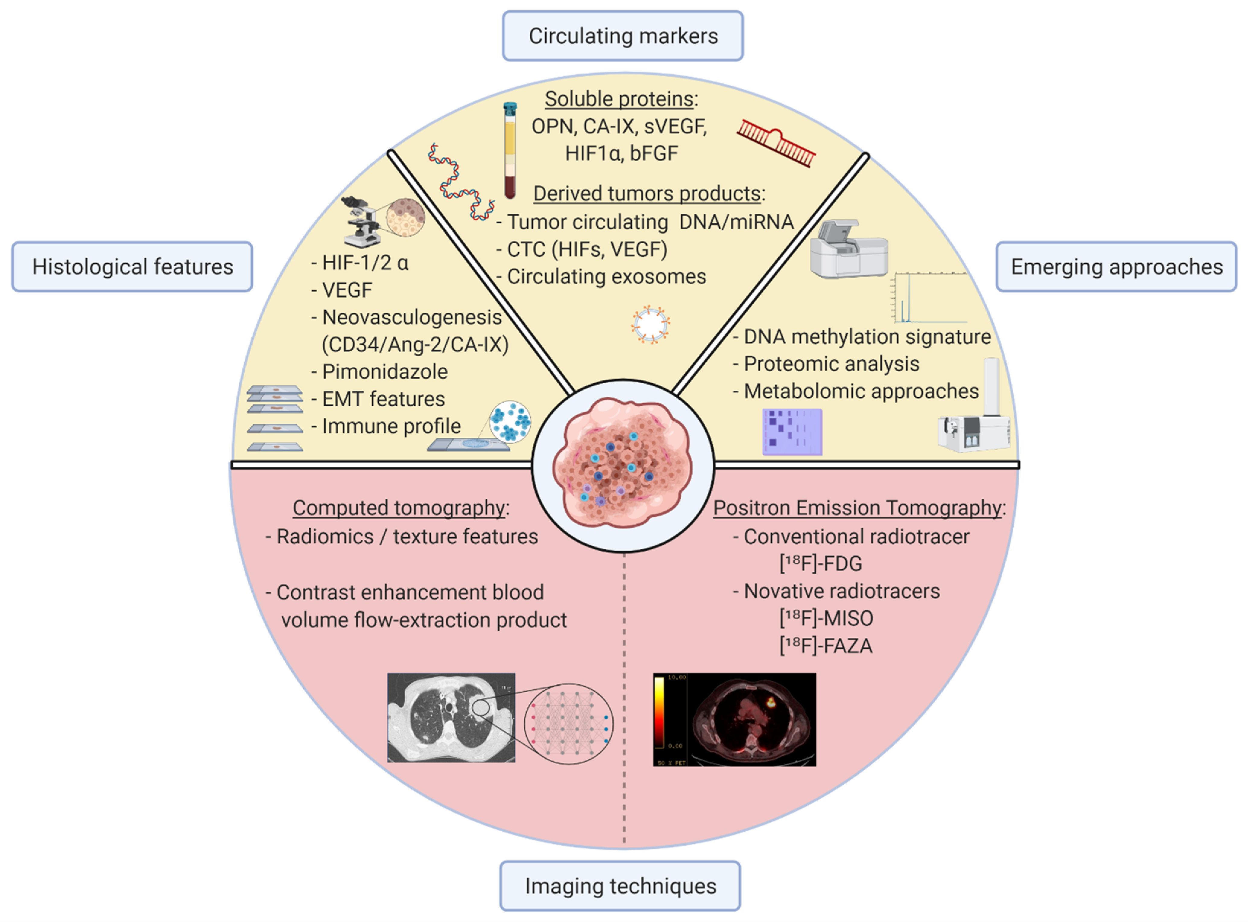 Cancers 13 03421 g002
