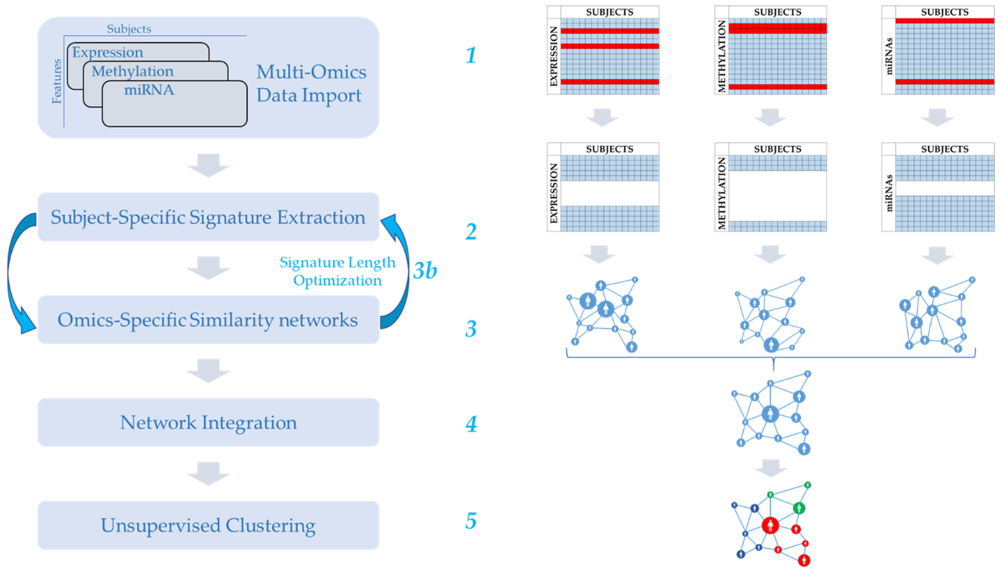 Cancers 13 03423 g001