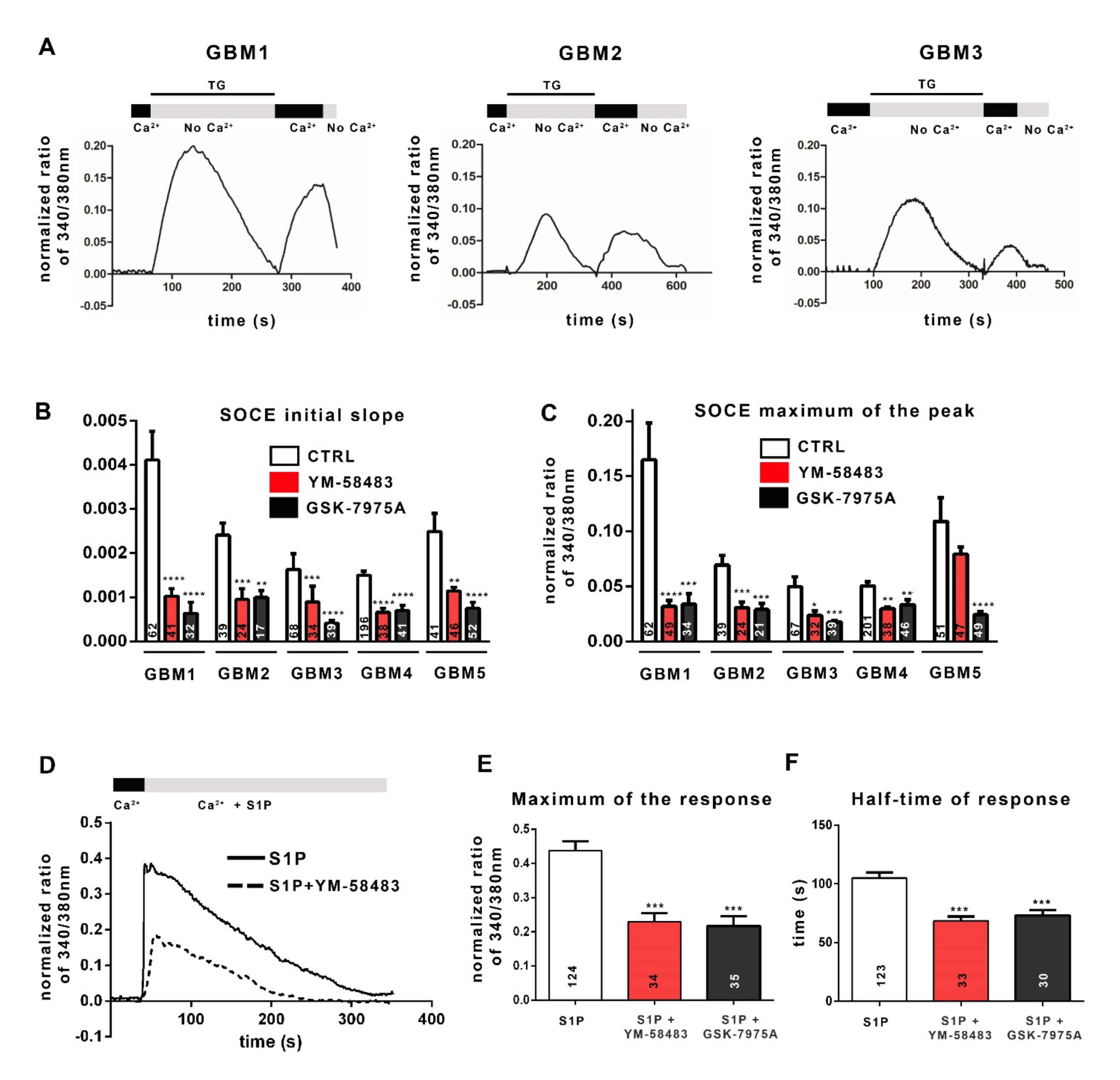 Cancers 13 03428 g002