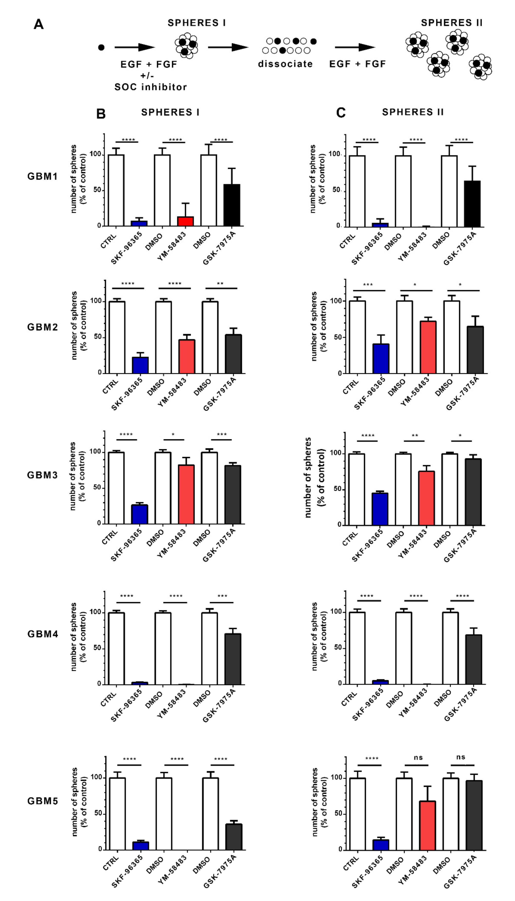 Cancers 13 03428 g004
