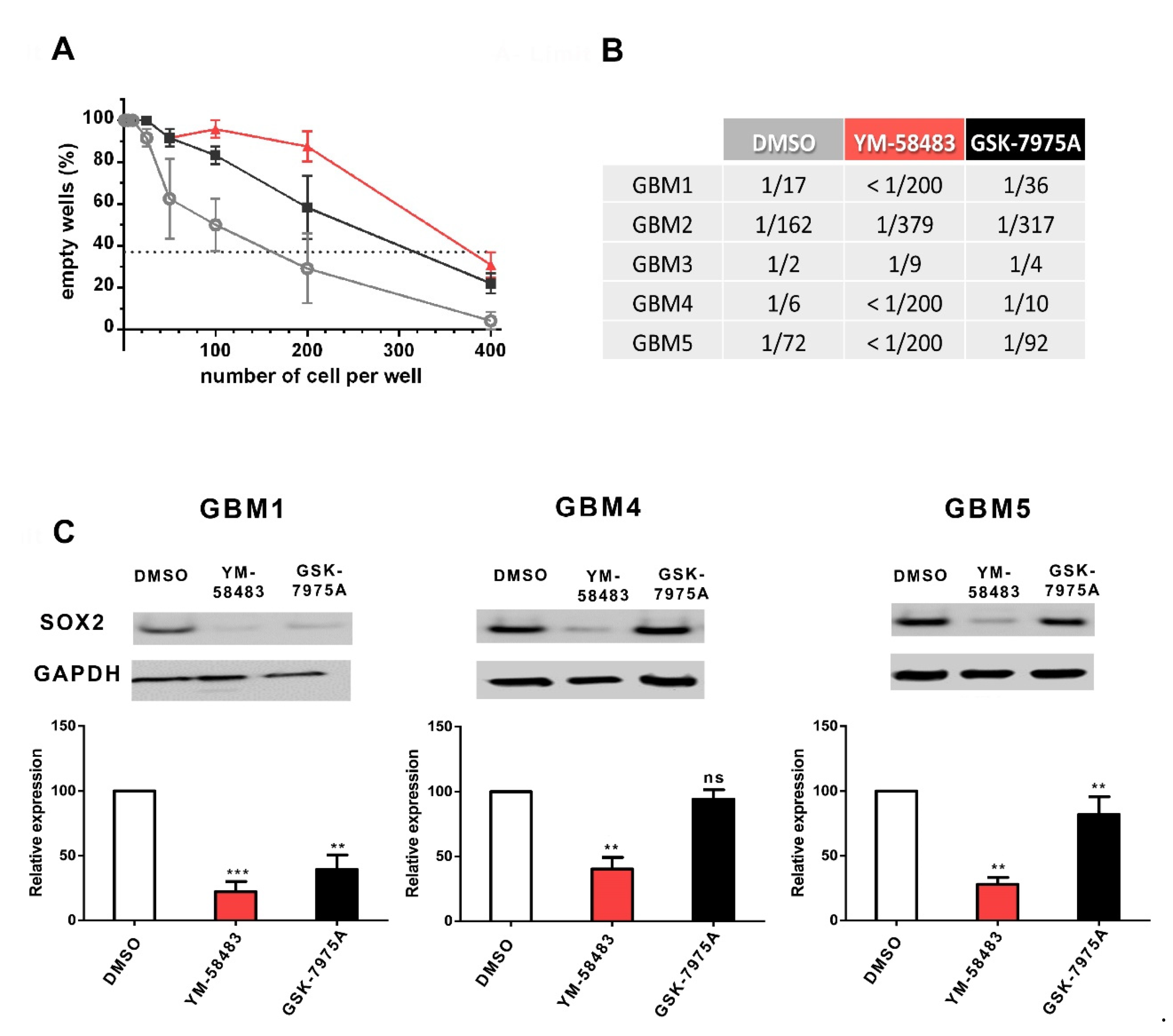 Cancers 13 03428 g005