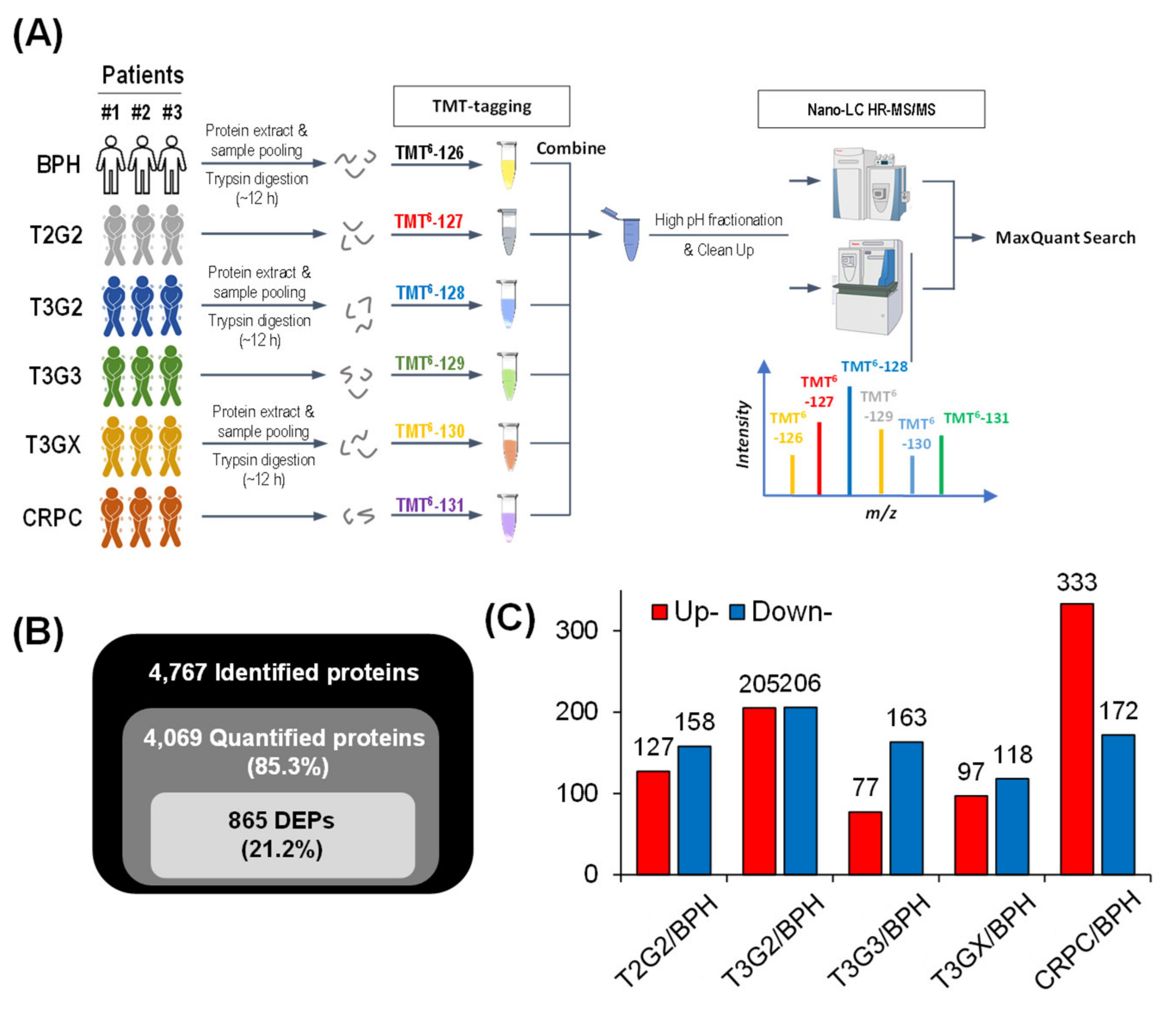 Cancers 13 03432 g001
