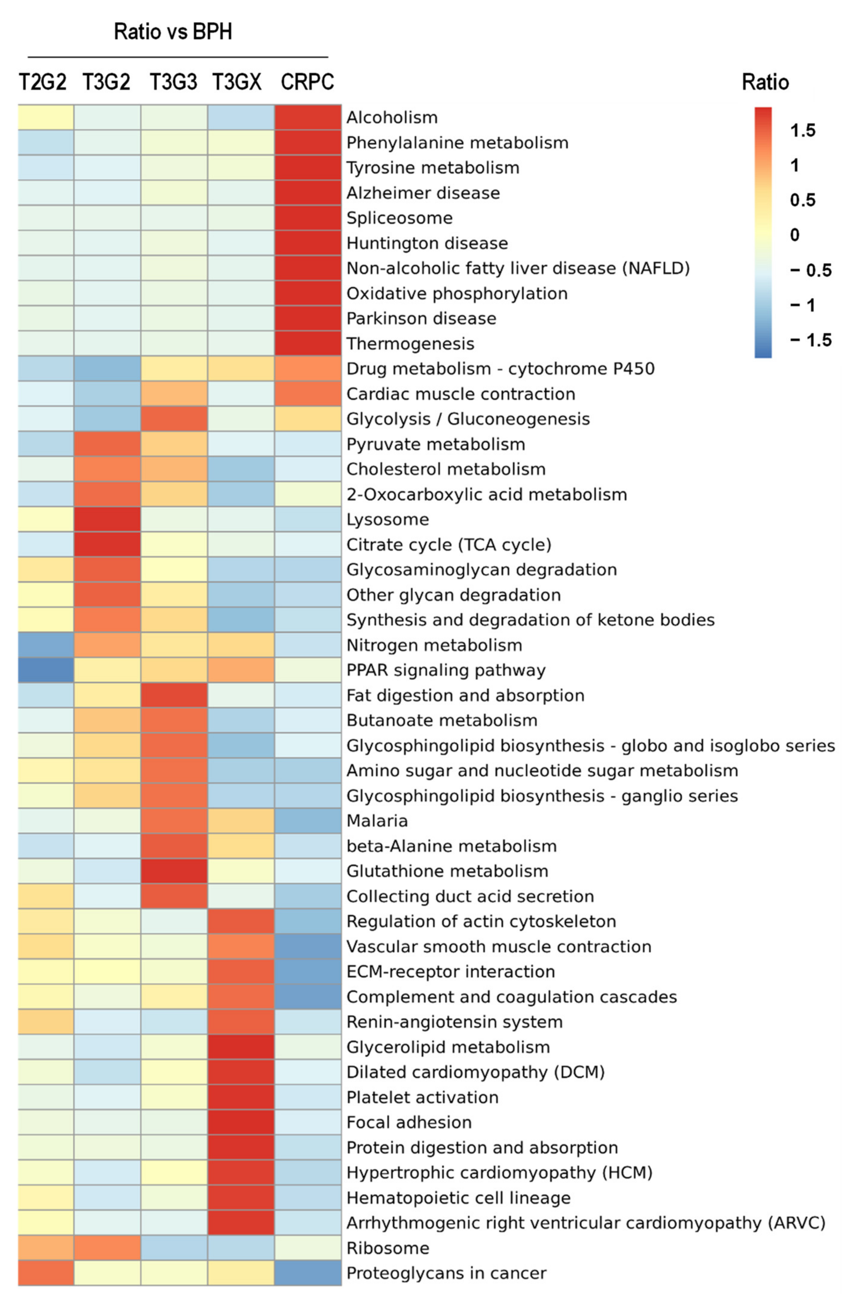 Cancers 13 03432 g002