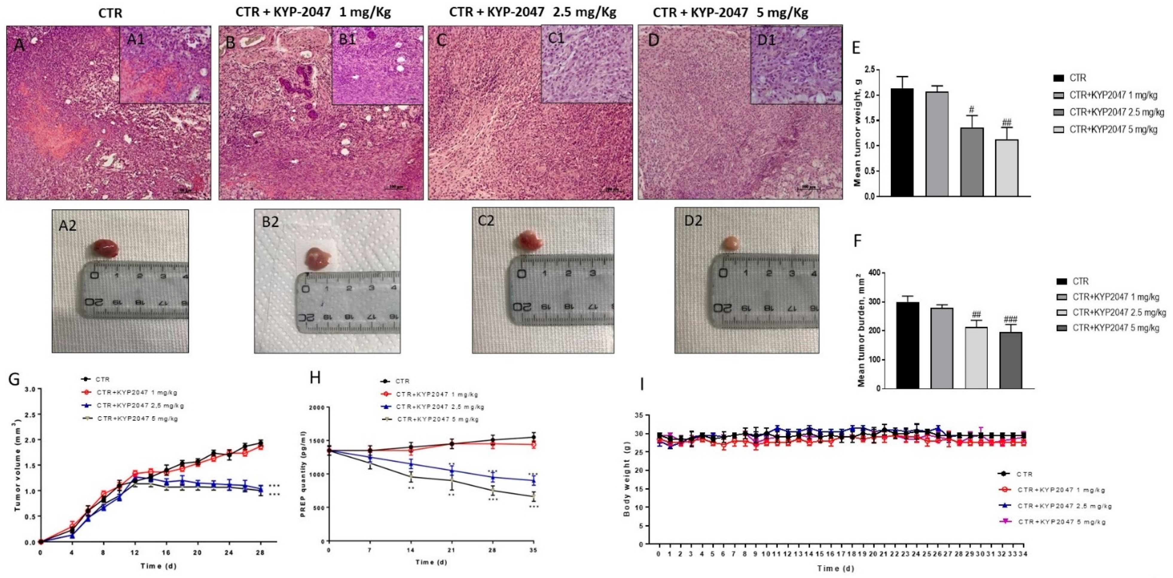 Cancers 13 03444 g001 Cancers 13 03444 g001
