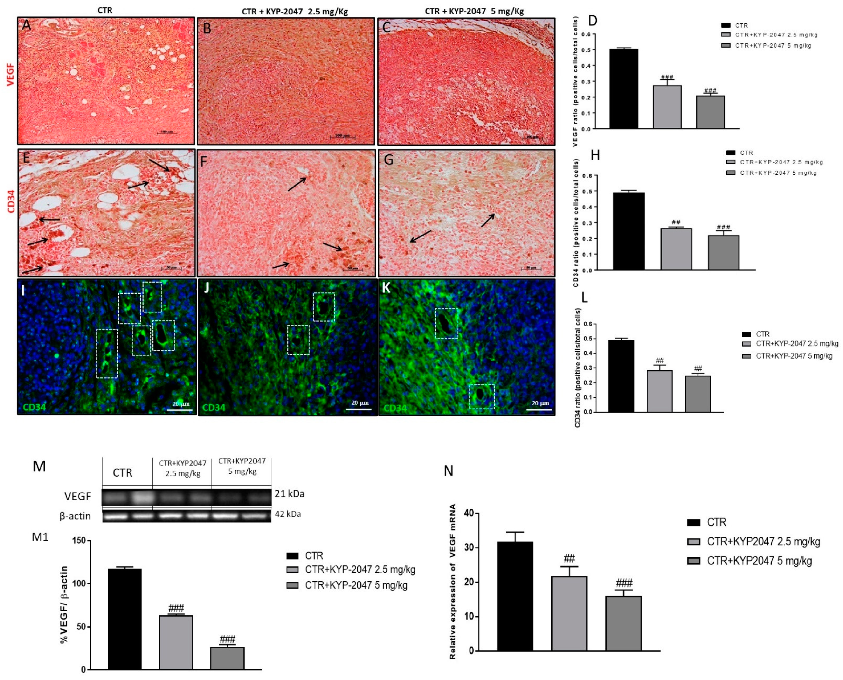 Cancers 13 03444 g002 Cancers 13 03444 g002