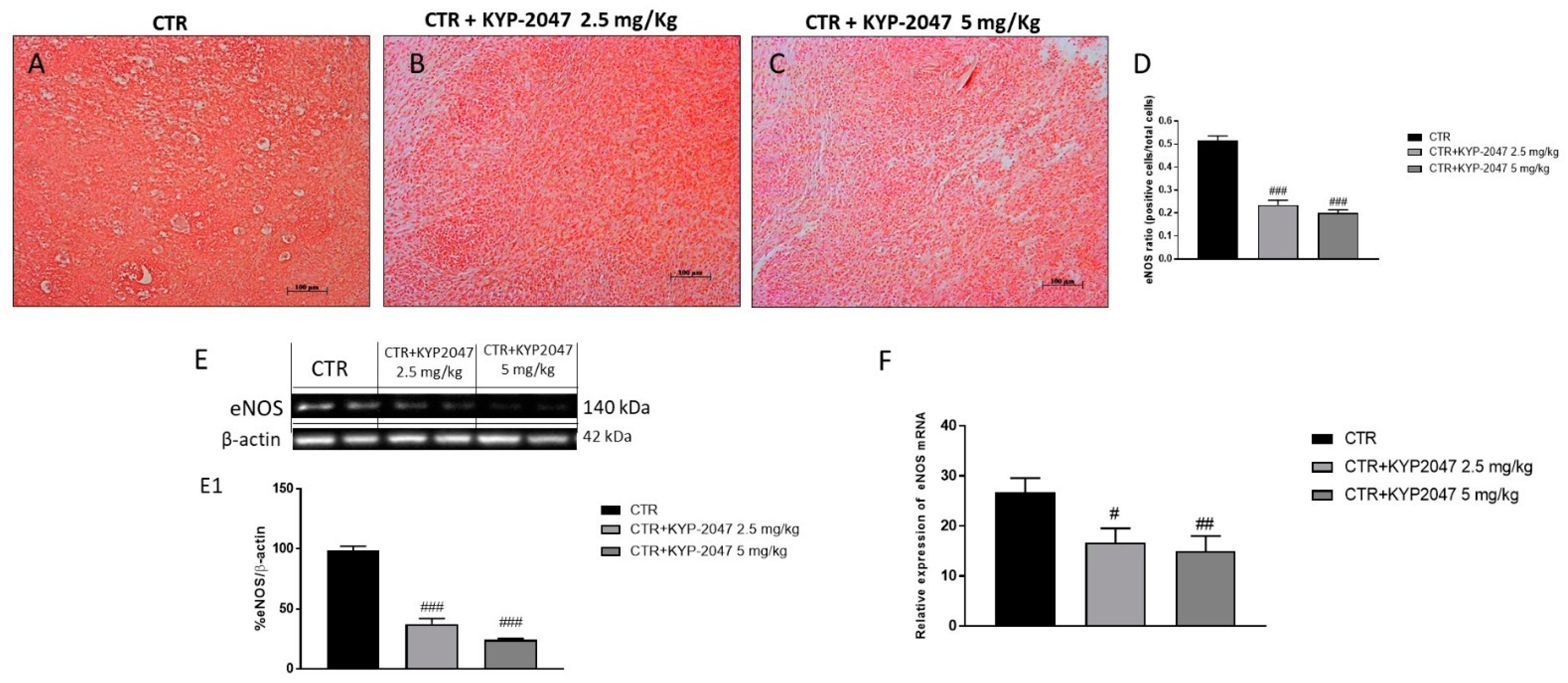 Cancers 13 03444 g003 Cancers 13 03444 g003