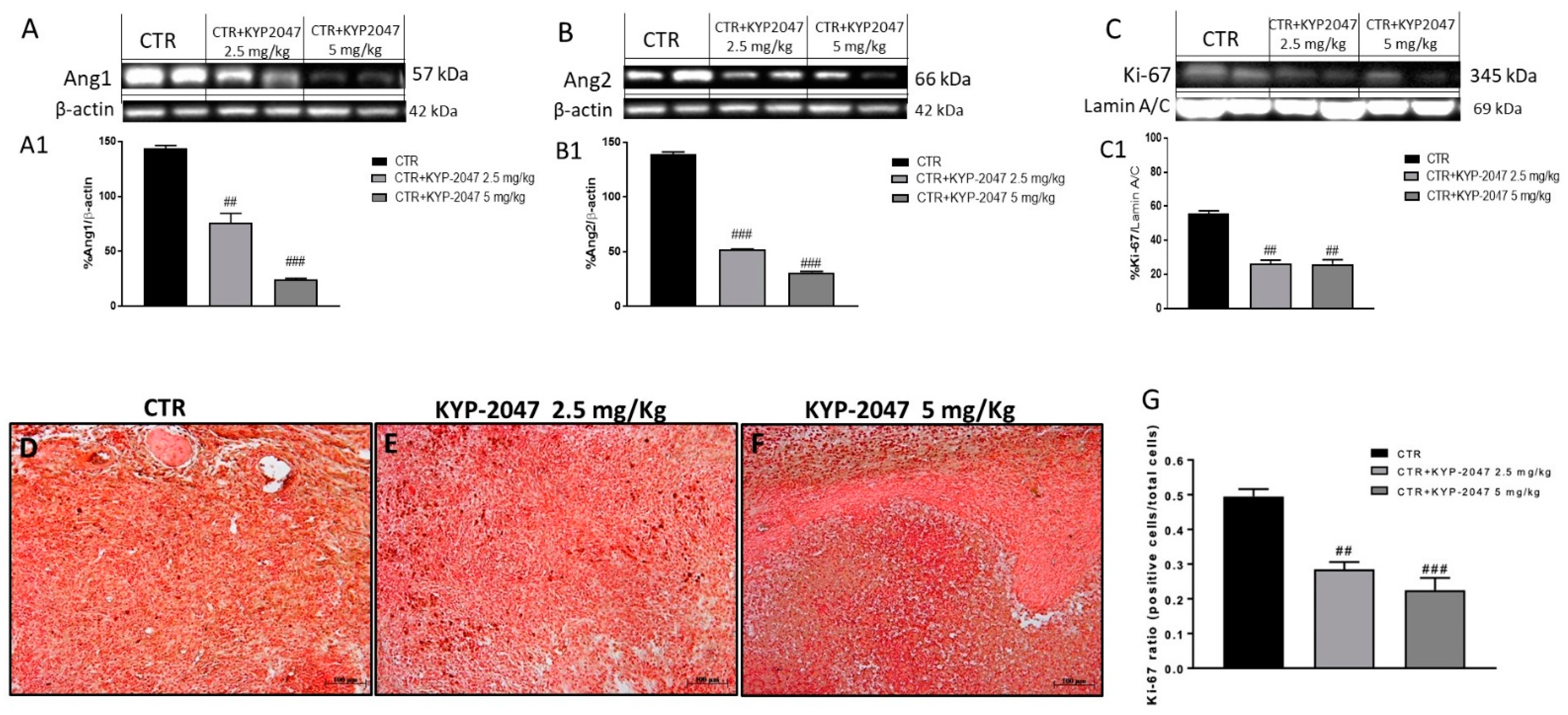 Cancers 13 03444 g004 Cancers 13 03444 g004