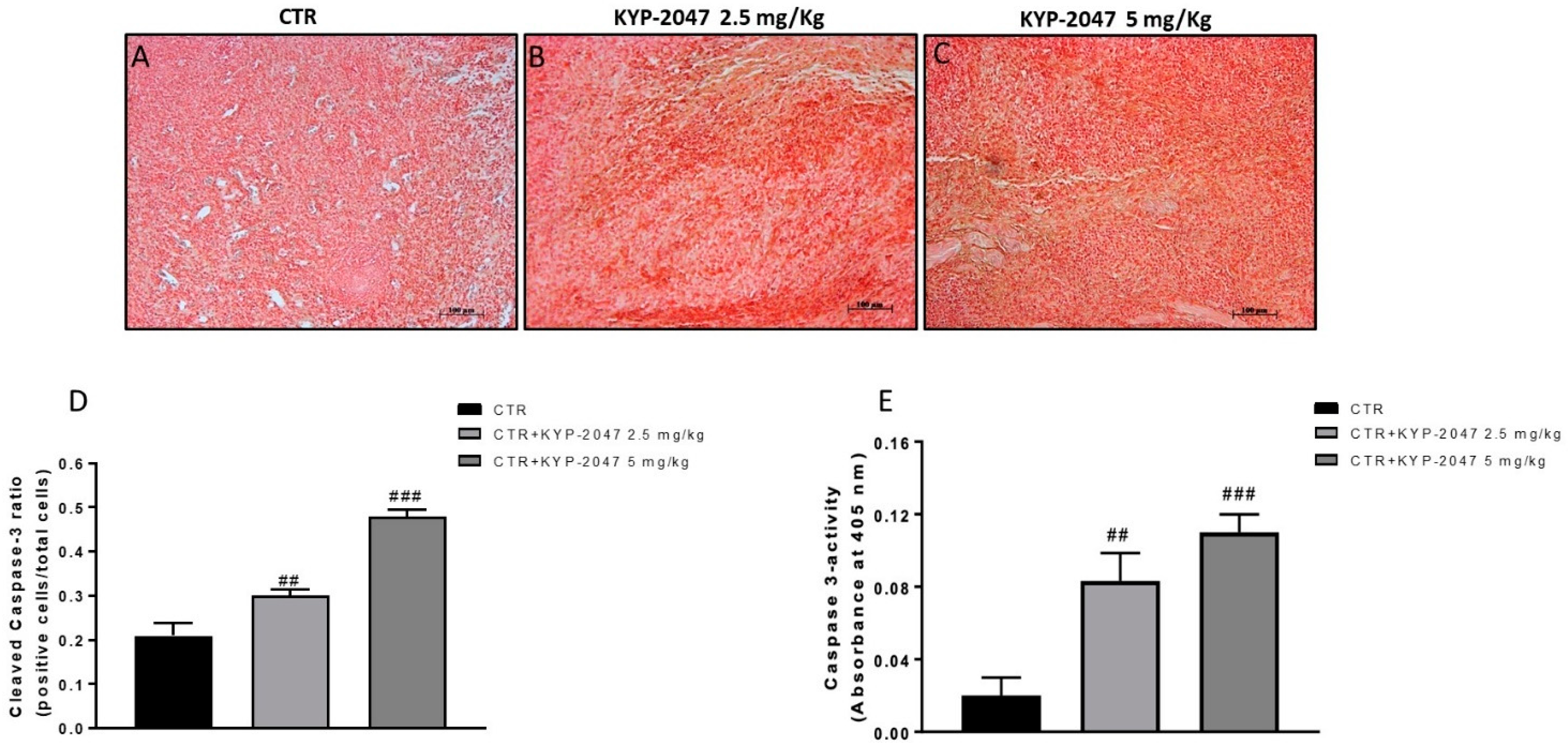Cancers 13 03444 g006 Cancers 13 03444 g006