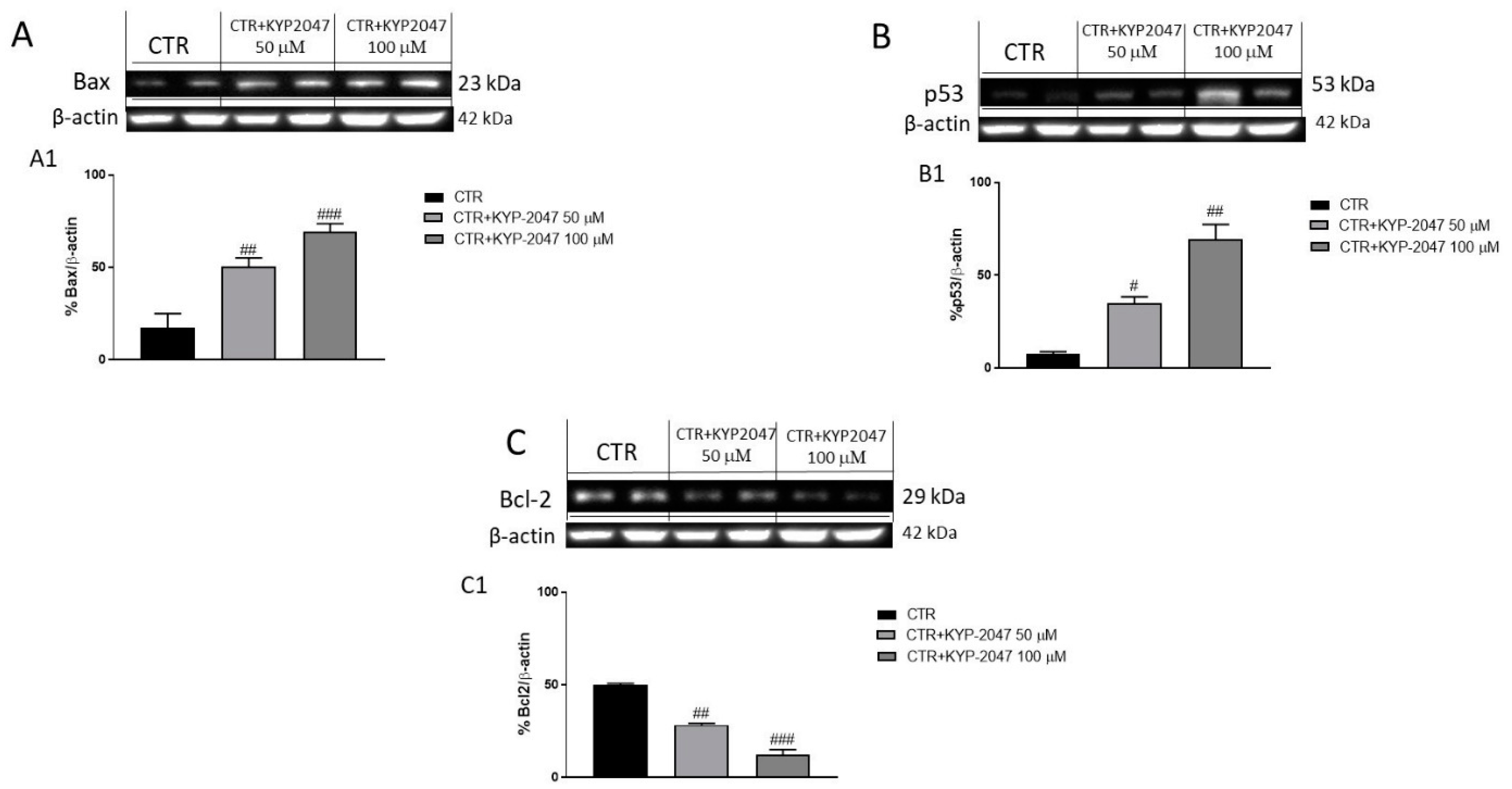Cancers 13 03444 g008 Cancers 13 03444 g008