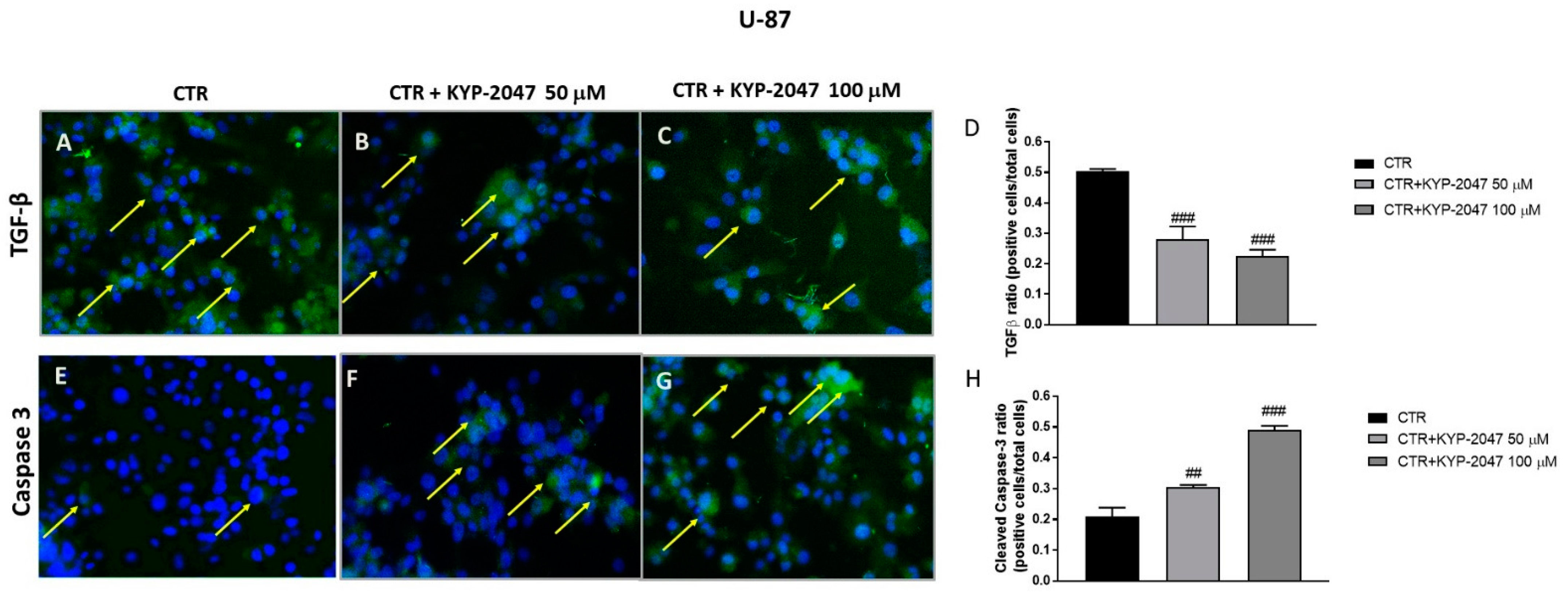 Cancers 13 03444 g009 Cancers 13 03444 g009