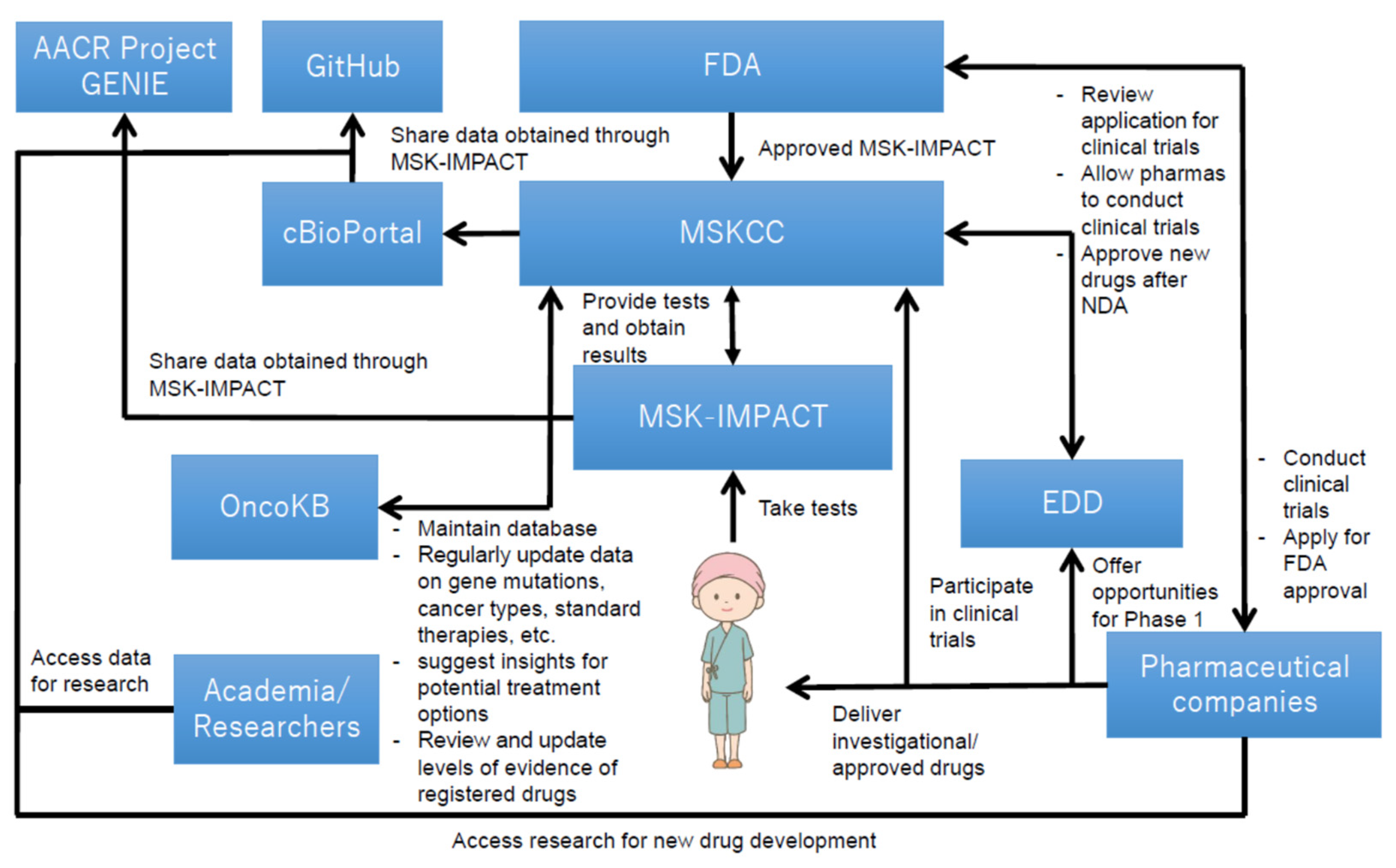 Cancers 13 03448 g003