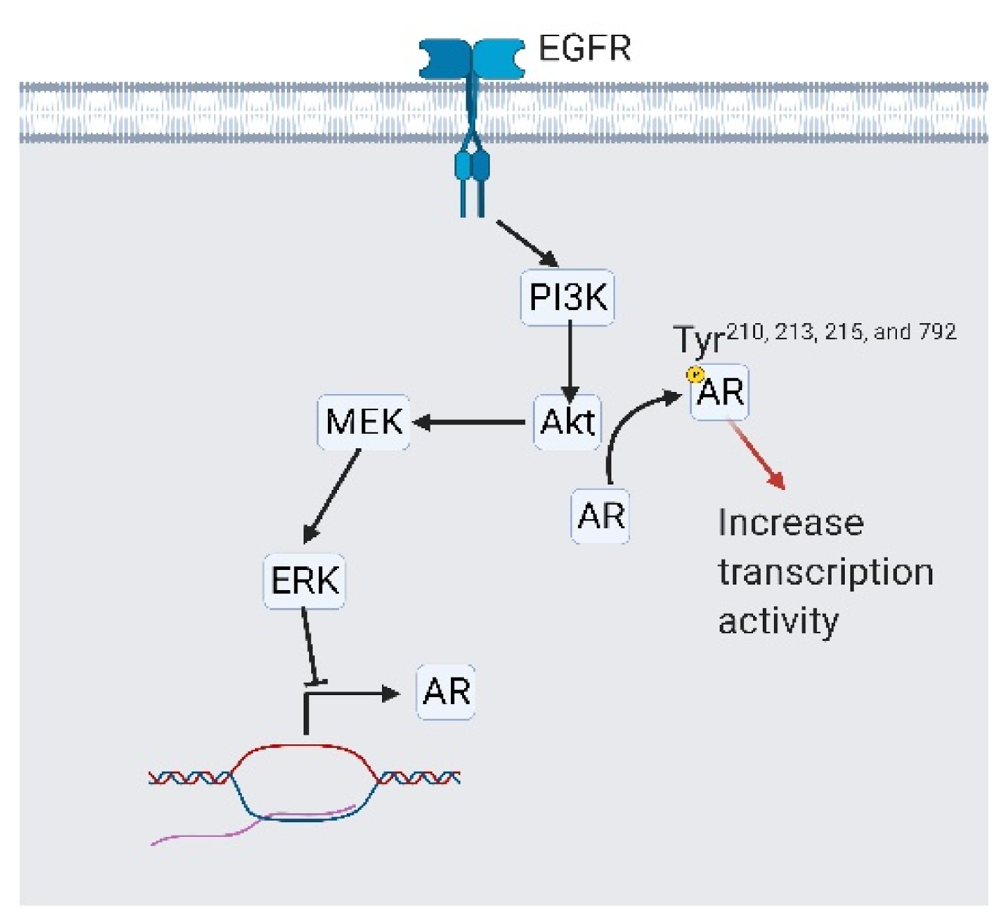 Cancers 13 03452 g007