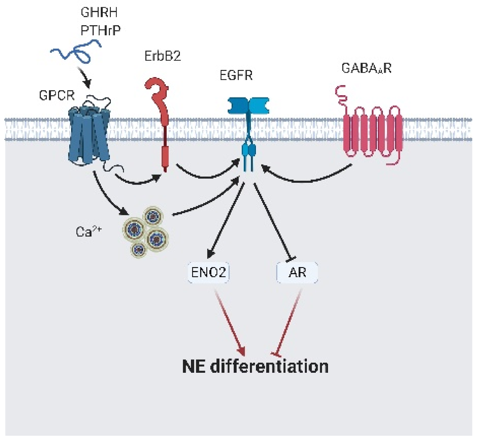 Cancers 13 03452 g008