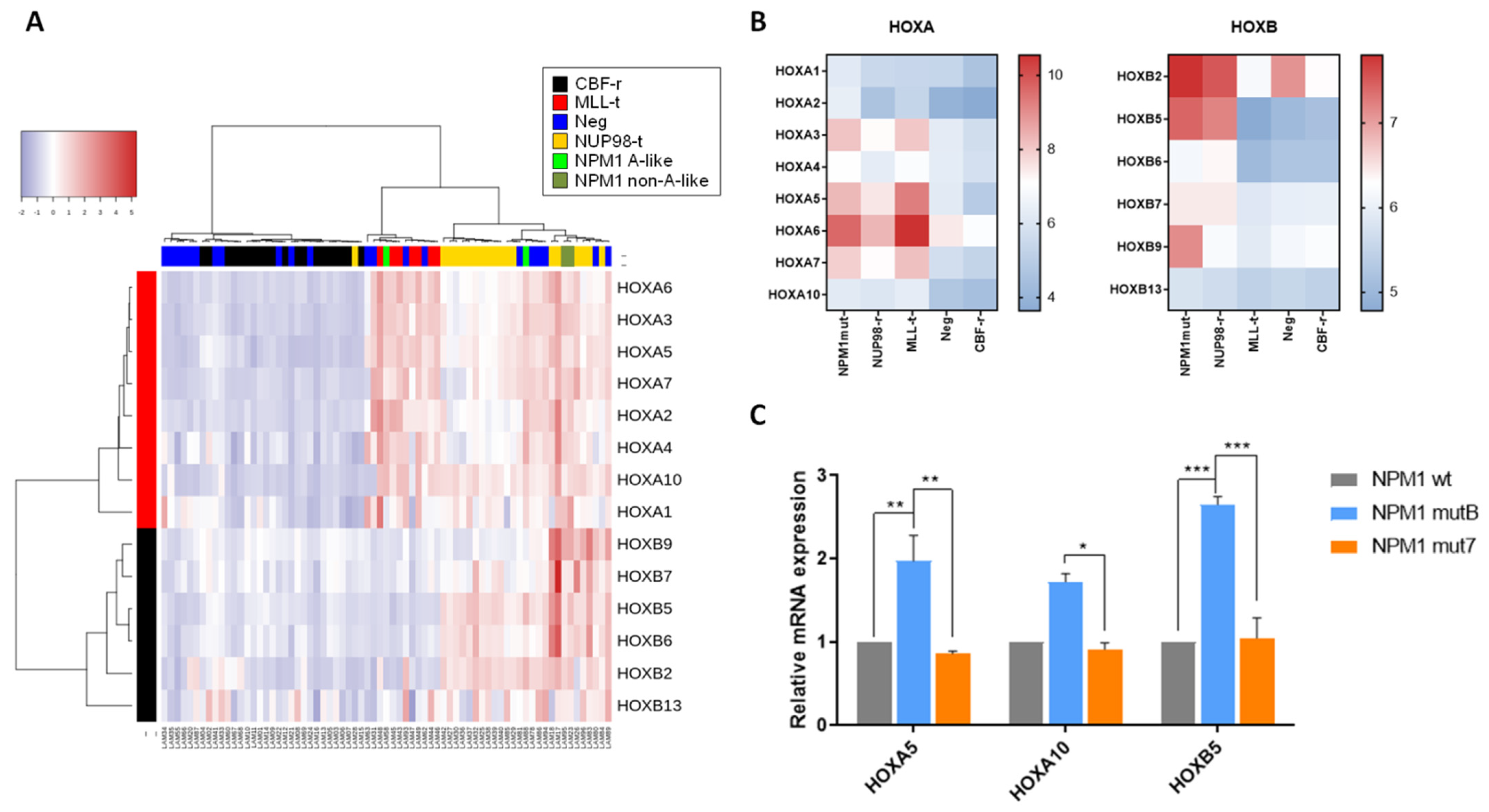 Cancers 13 03457 g002