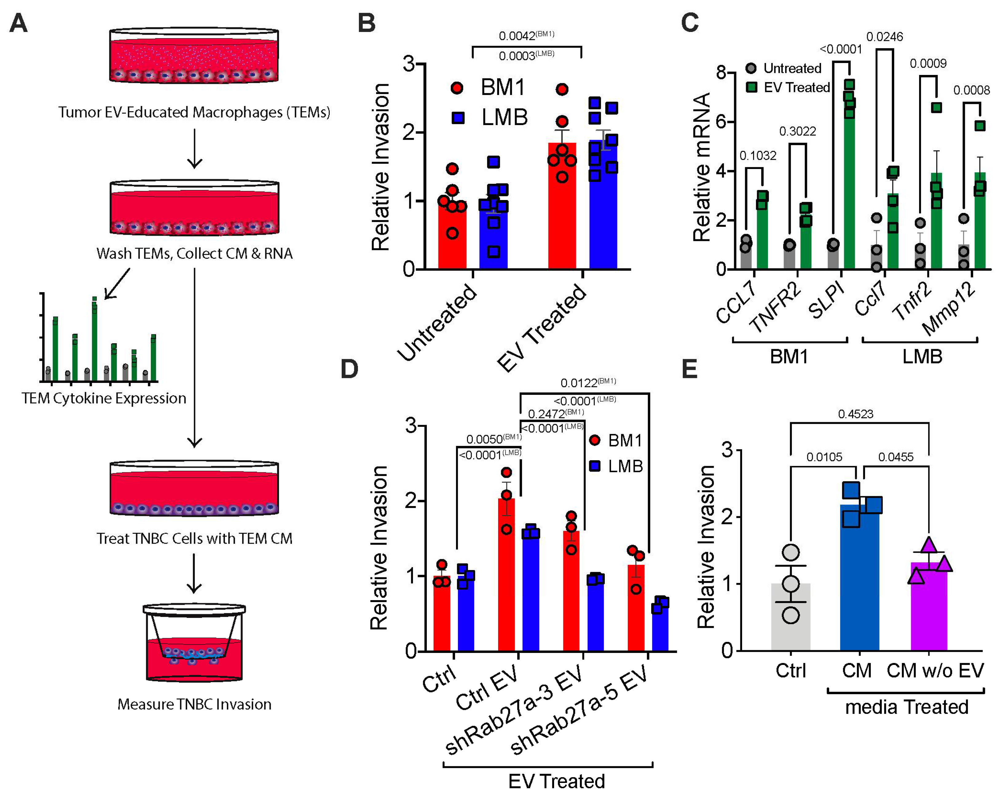 Cancers 13 03459 g001