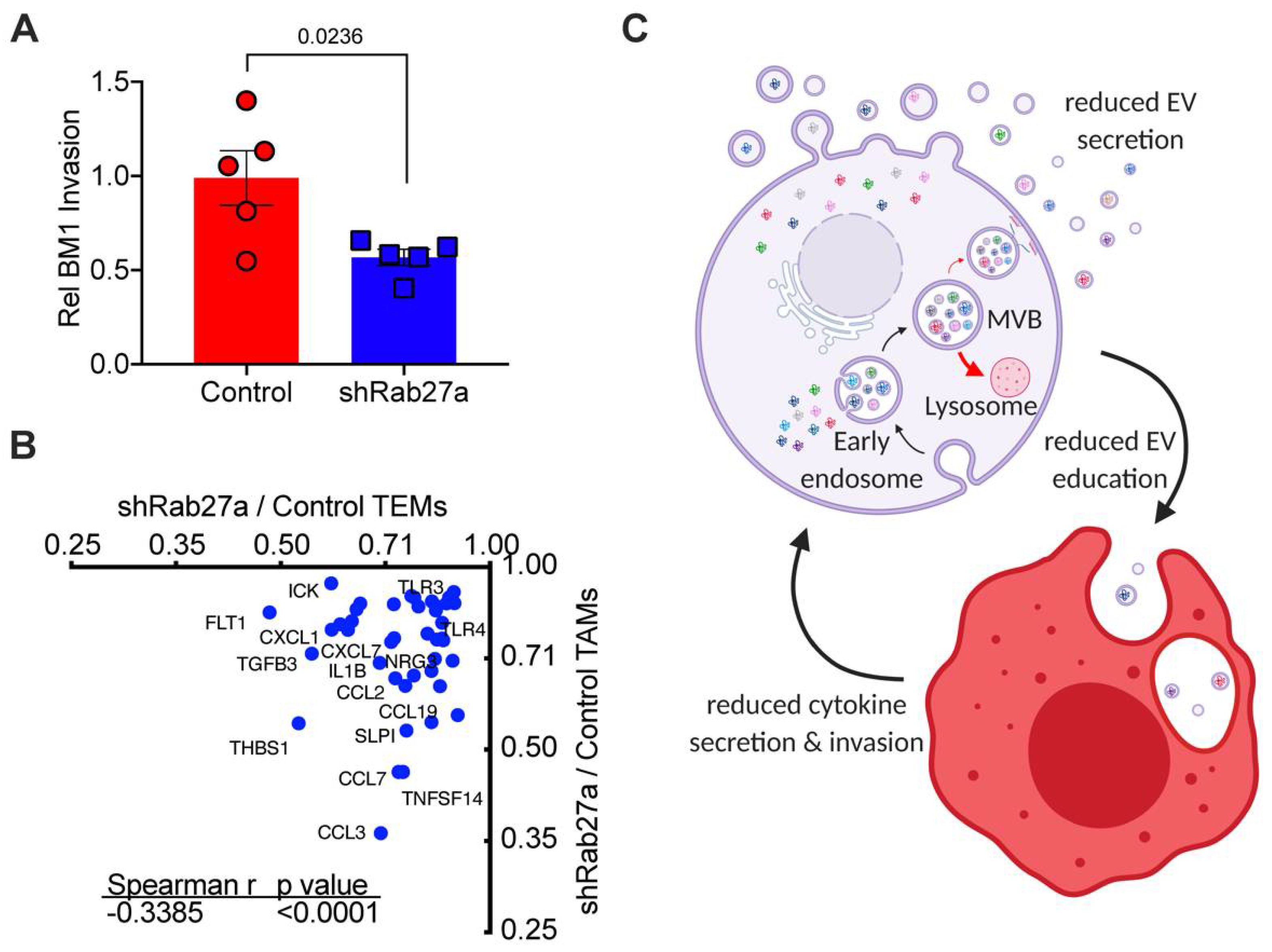 Cancers 13 03459 g003