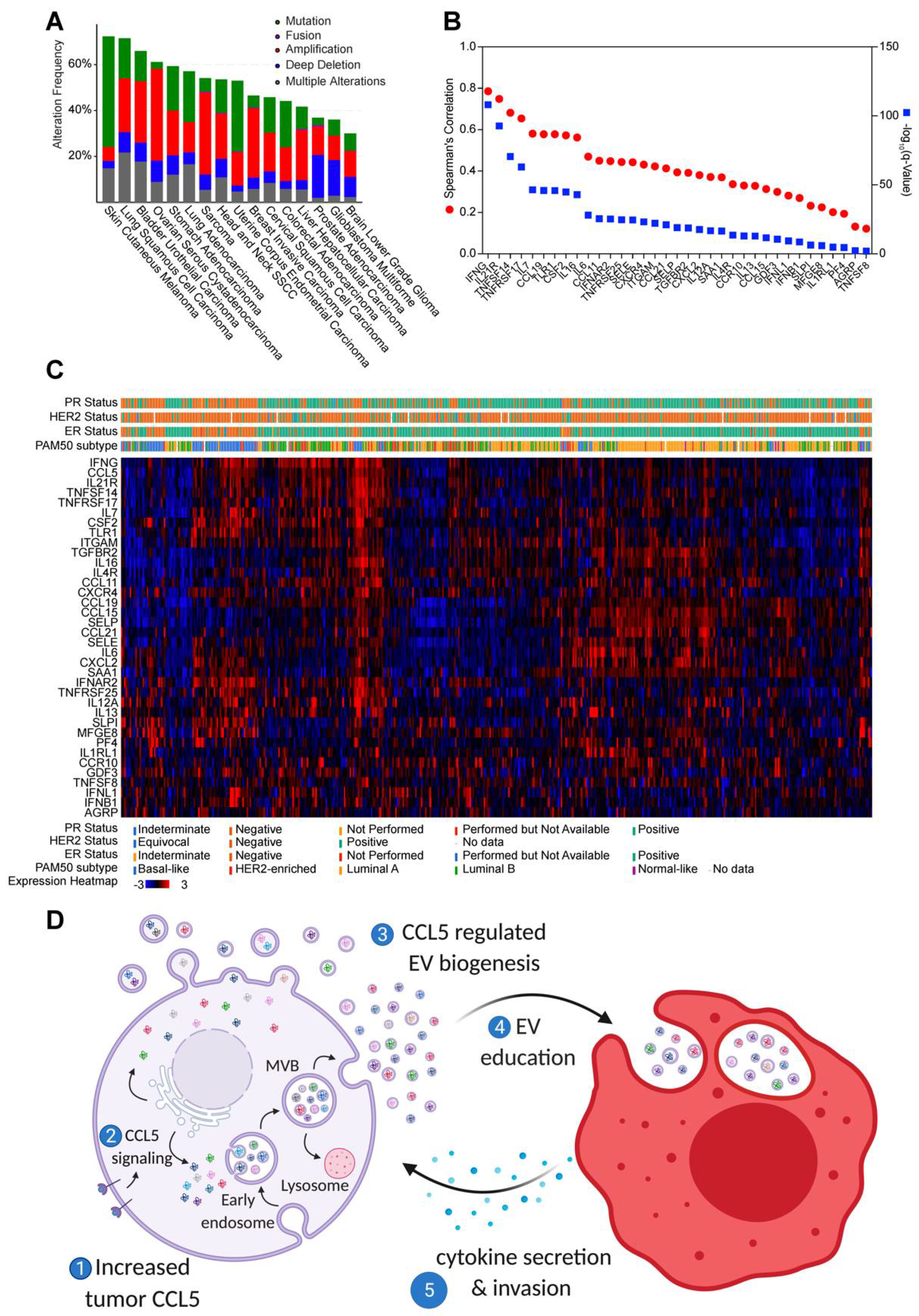 Cancers 13 03459 g007