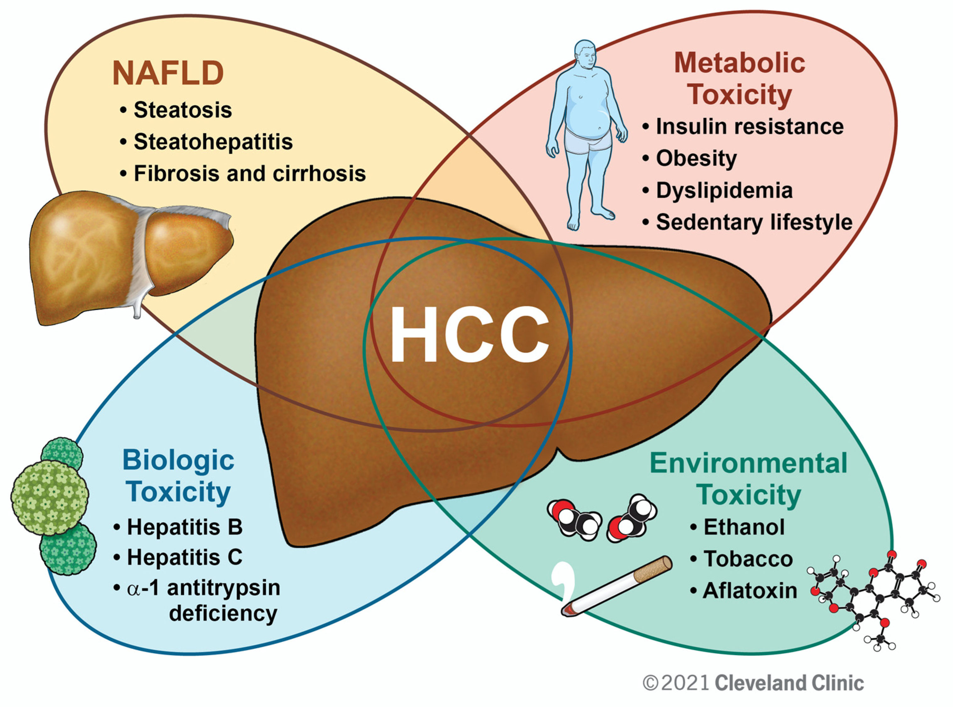 Cancers 13 03473 g001