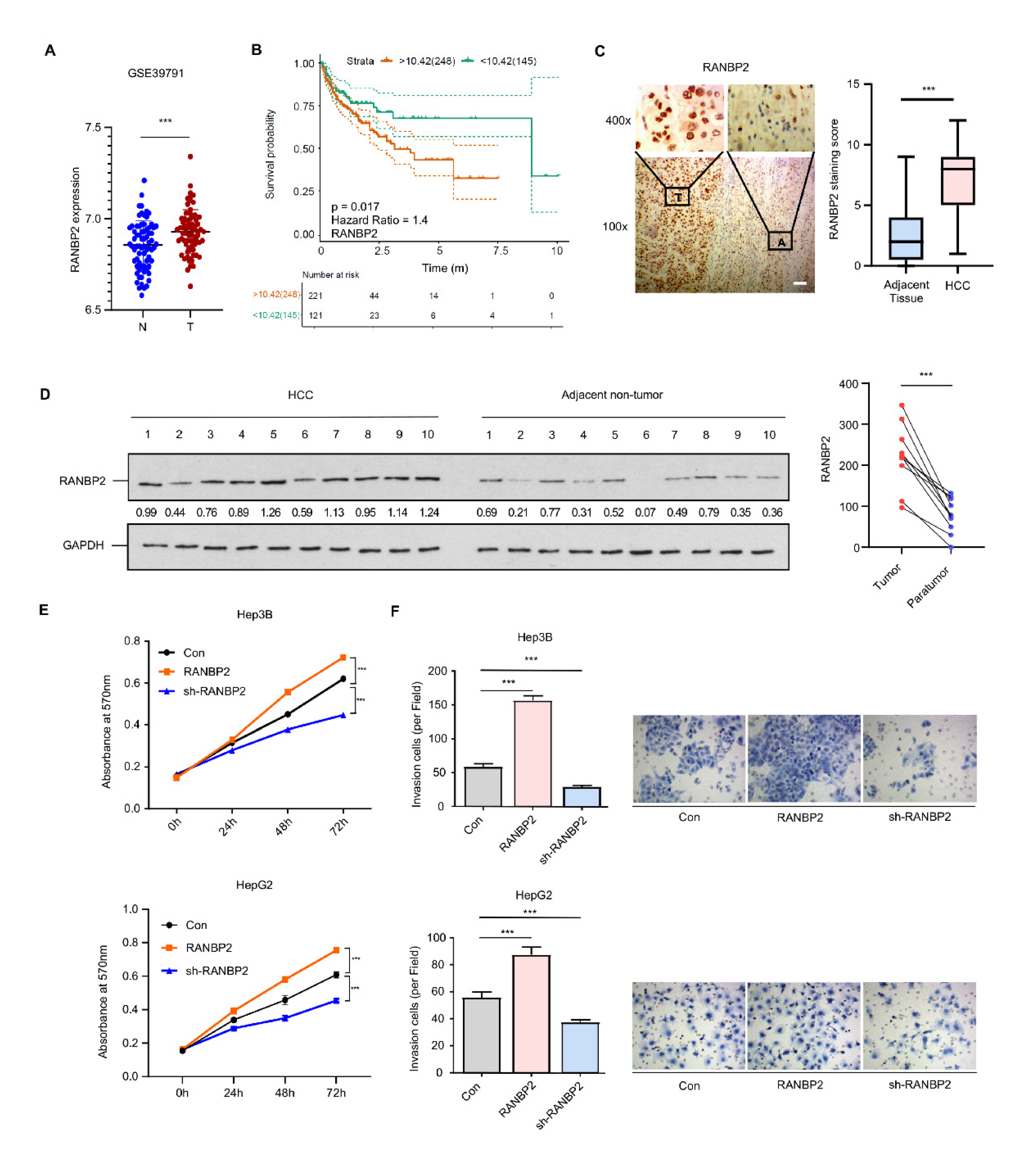 Cancers 13 03475 g001